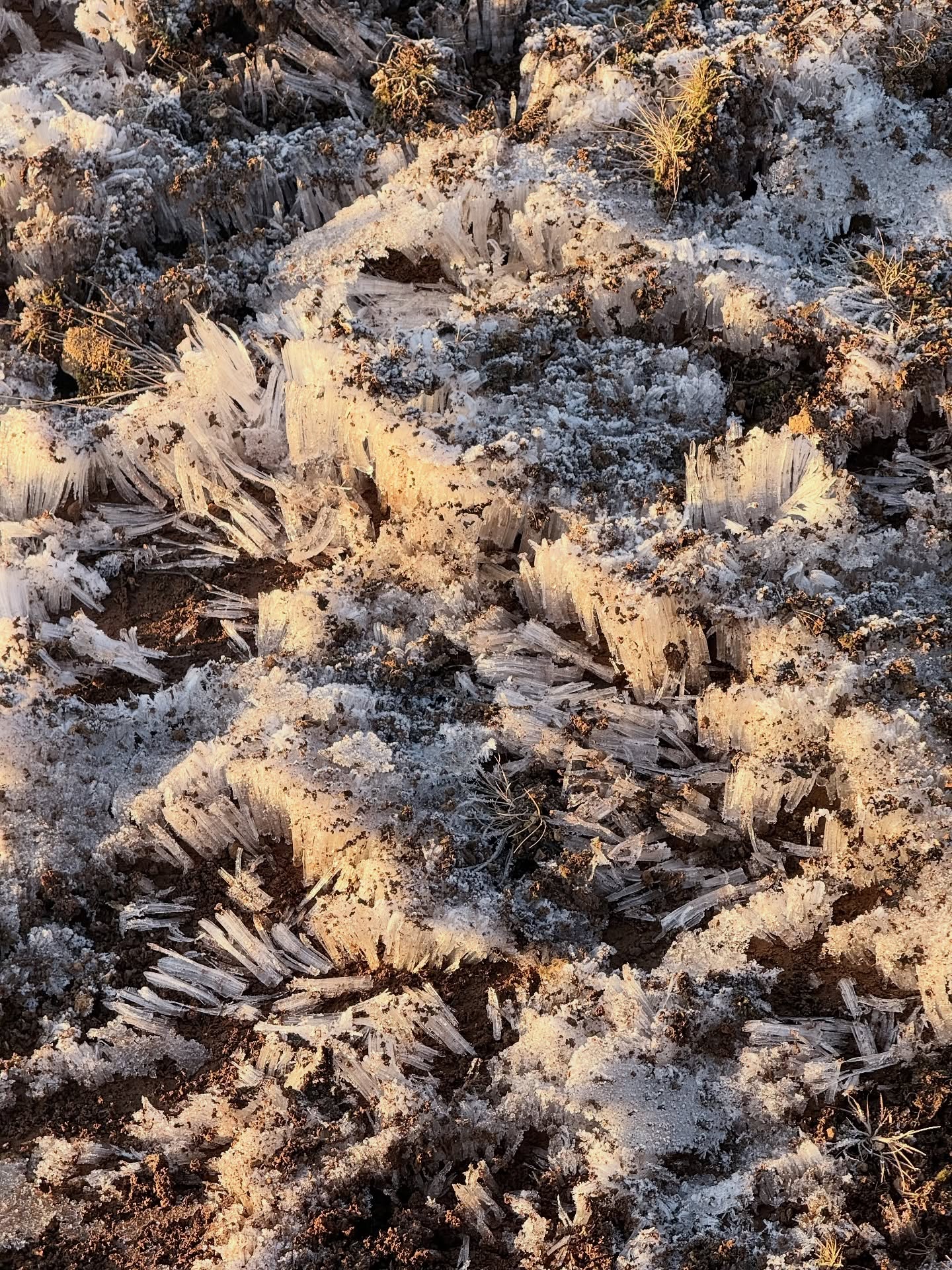 อาร์ม - กรกันต์ สุทธิโกเศศ