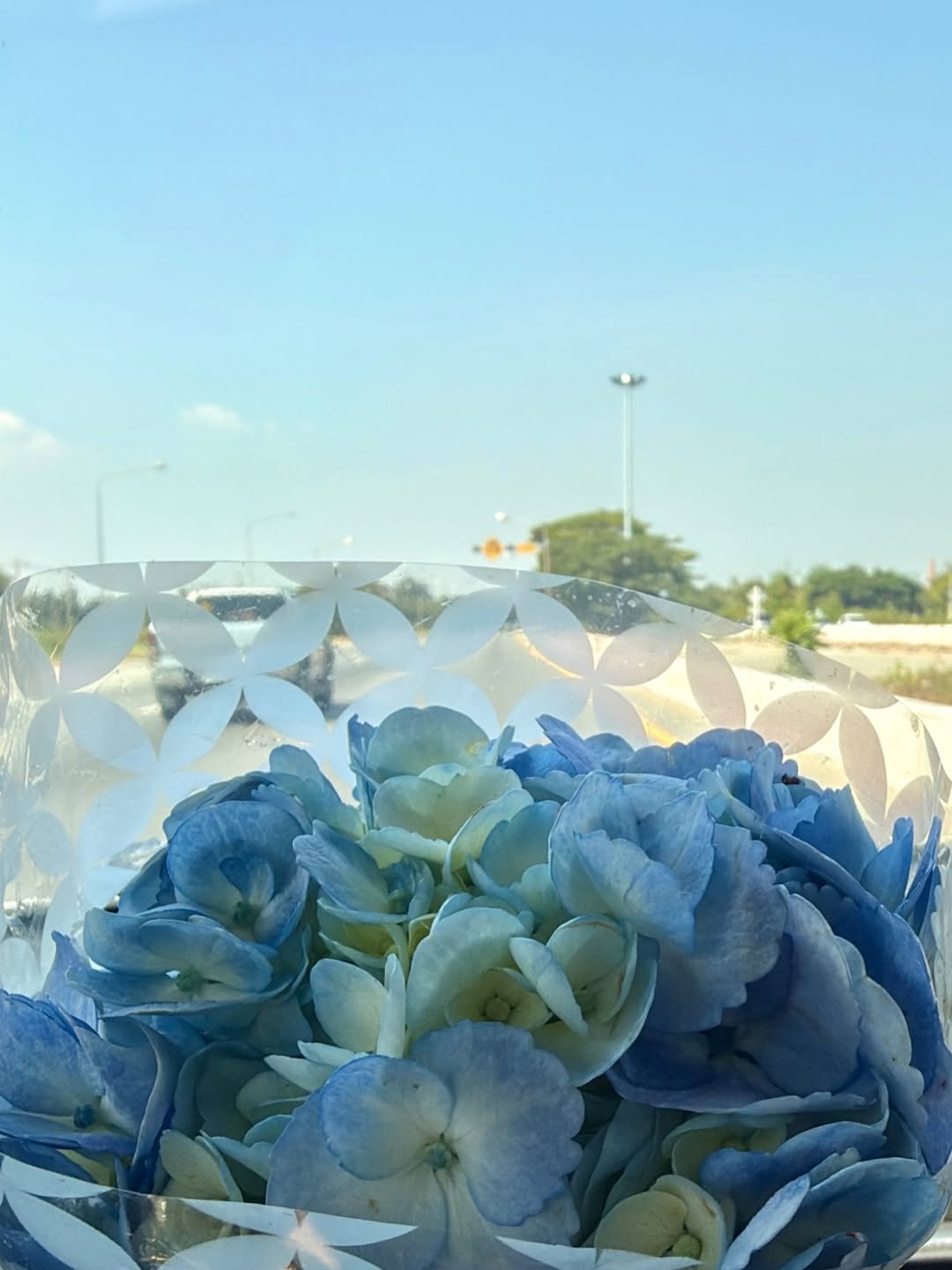 อาร์ม - กรกันต์ สุทธิโกเศศ