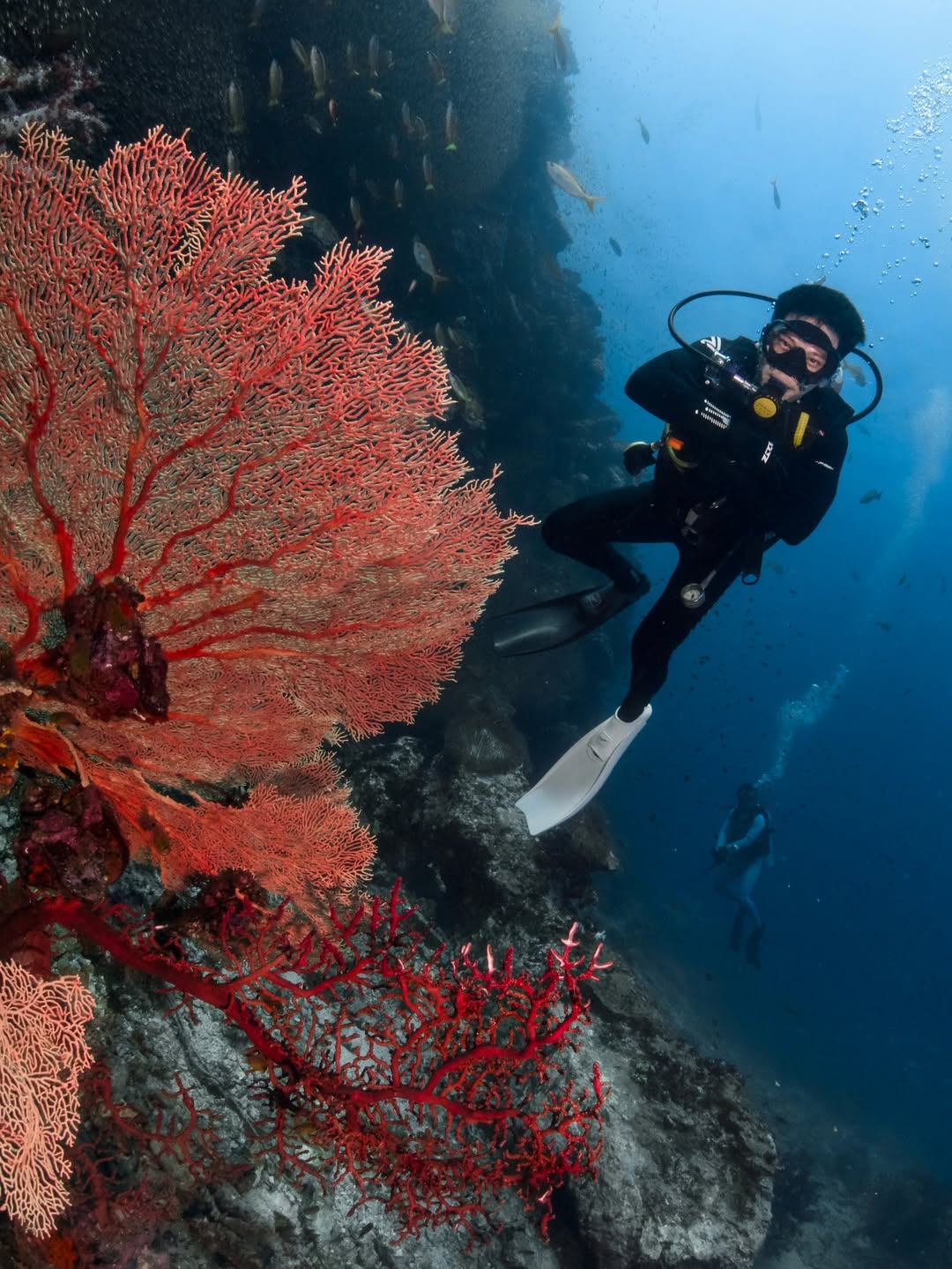 อาร์ม - กรกันต์ สุทธิโกเศศ