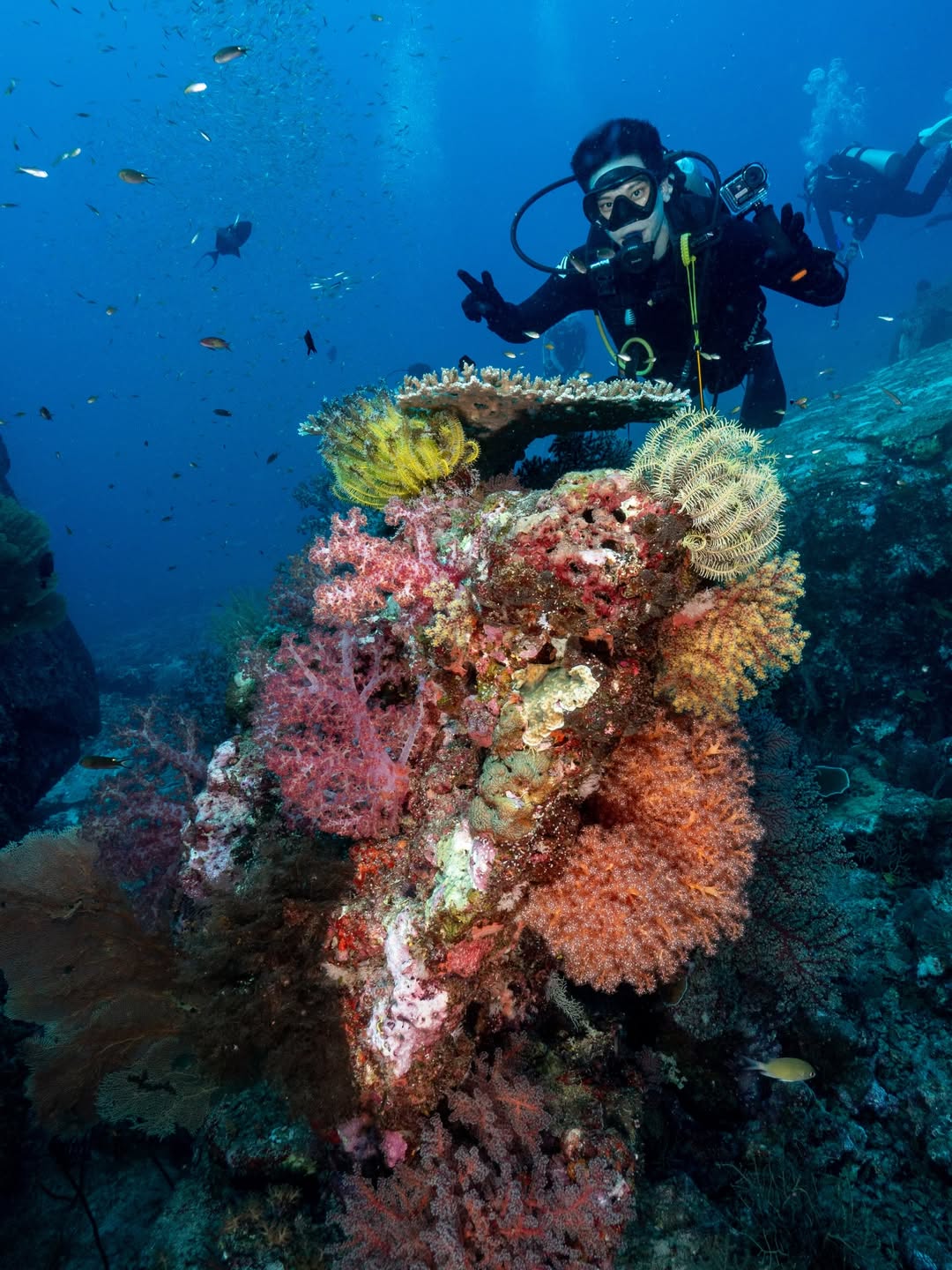 อาร์ม - กรกันต์ สุทธิโกเศศ