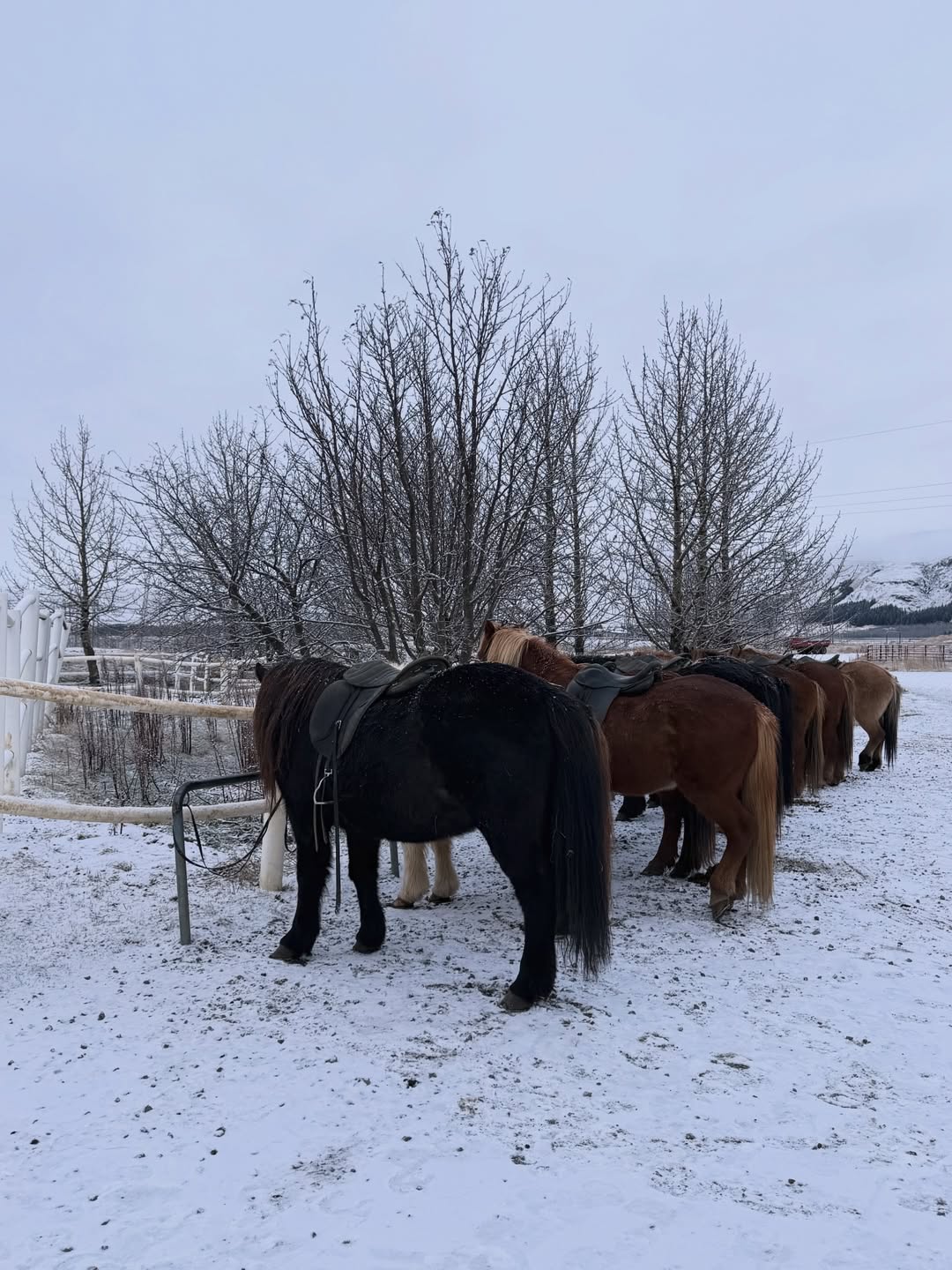 อาร์ม - กรกันต์ สุทธิโกเศศ