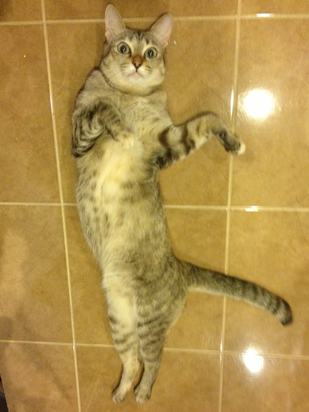 อาร์ม - กรกันต์ สุทธิโกเศศ