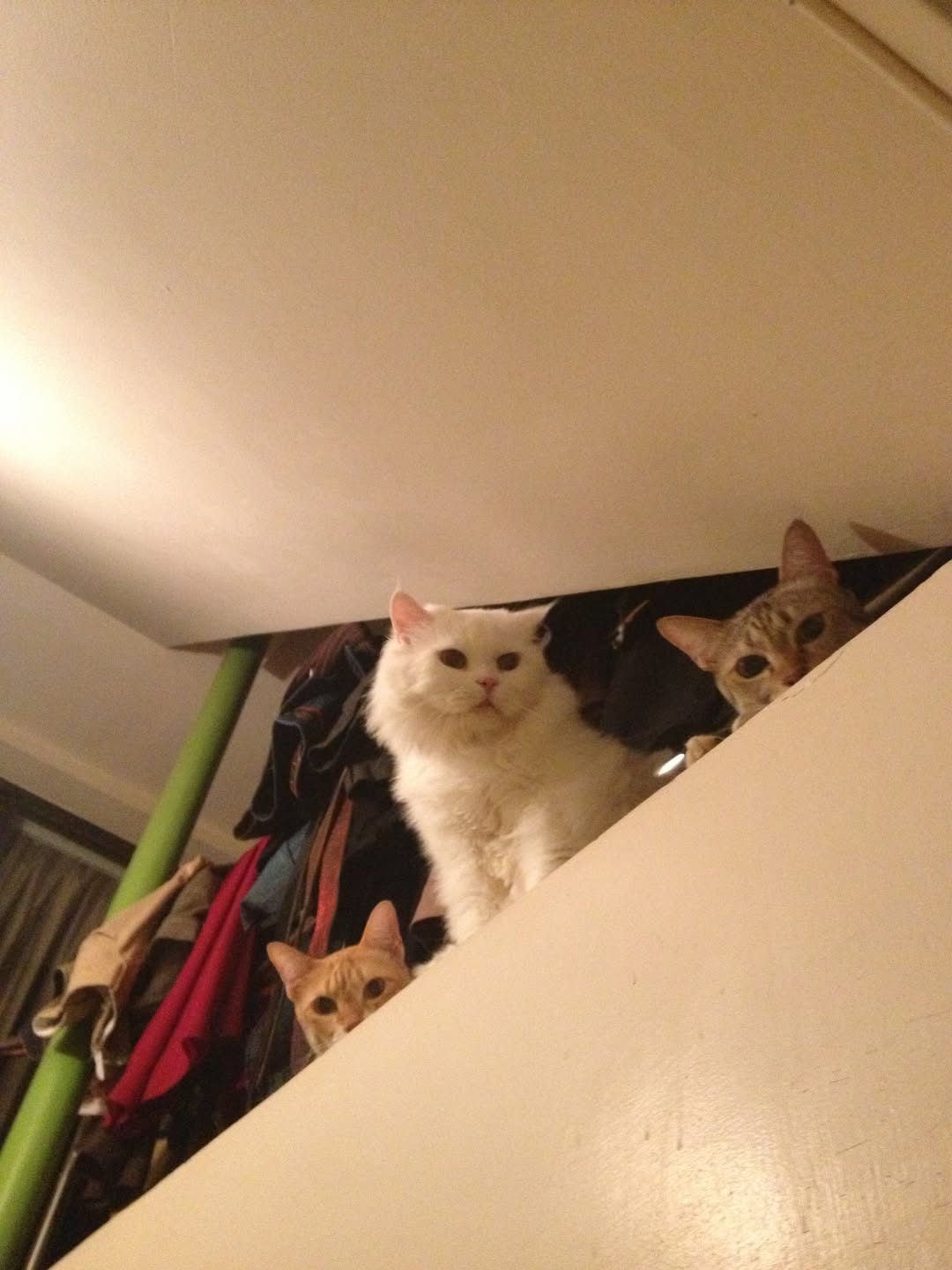 อาร์ม - กรกันต์ สุทธิโกเศศ