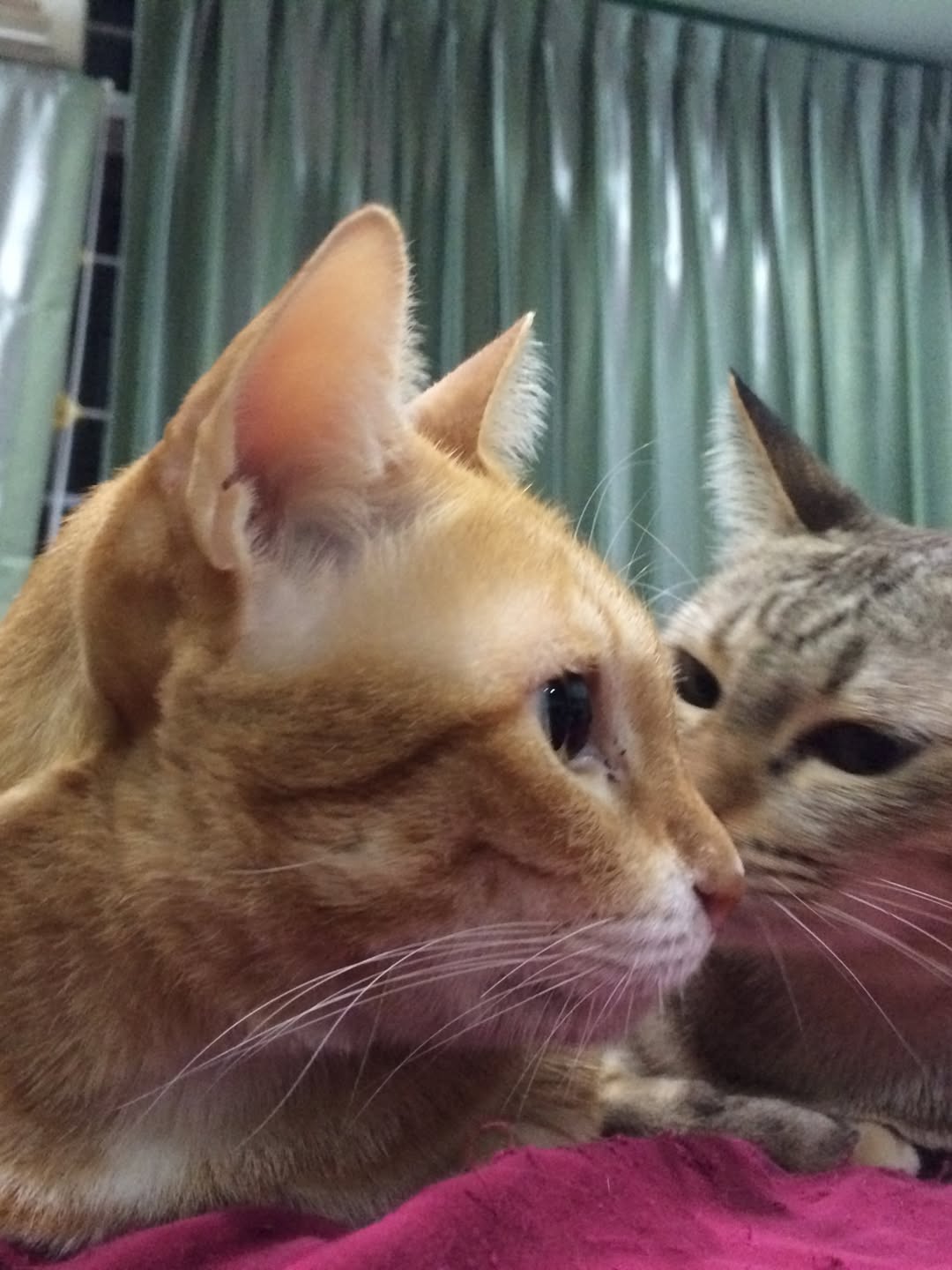 อาร์ม - กรกันต์ สุทธิโกเศศ