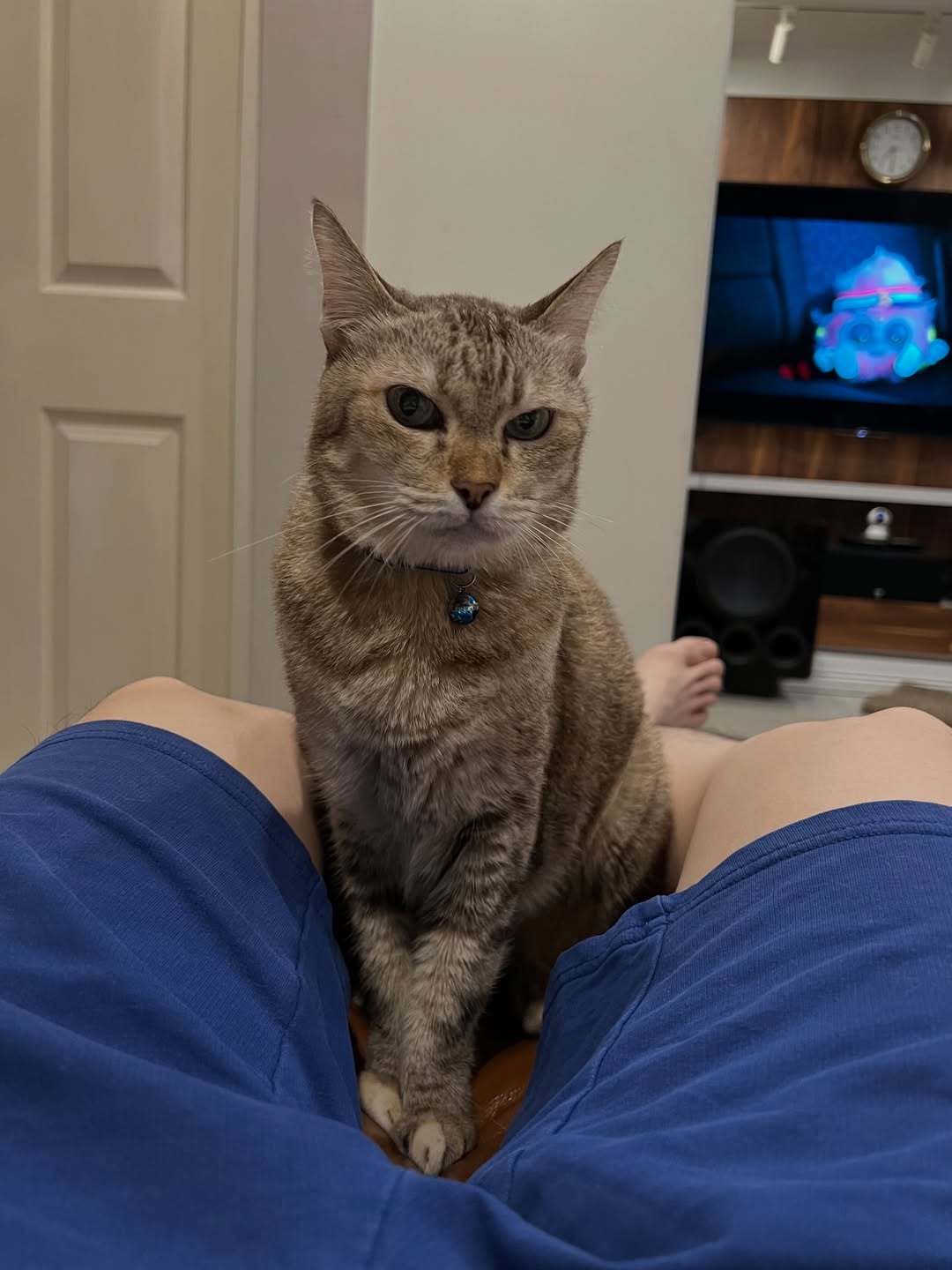 อาร์ม - กรกันต์ สุทธิโกเศศ