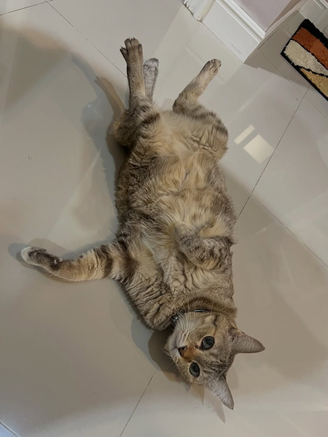 อาร์ม - กรกันต์ สุทธิโกเศศ