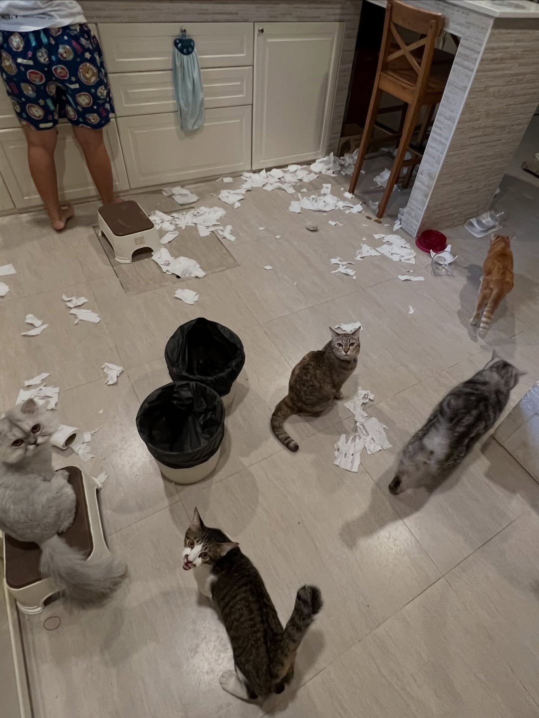 อาร์ม - กรกันต์ สุทธิโกเศศ