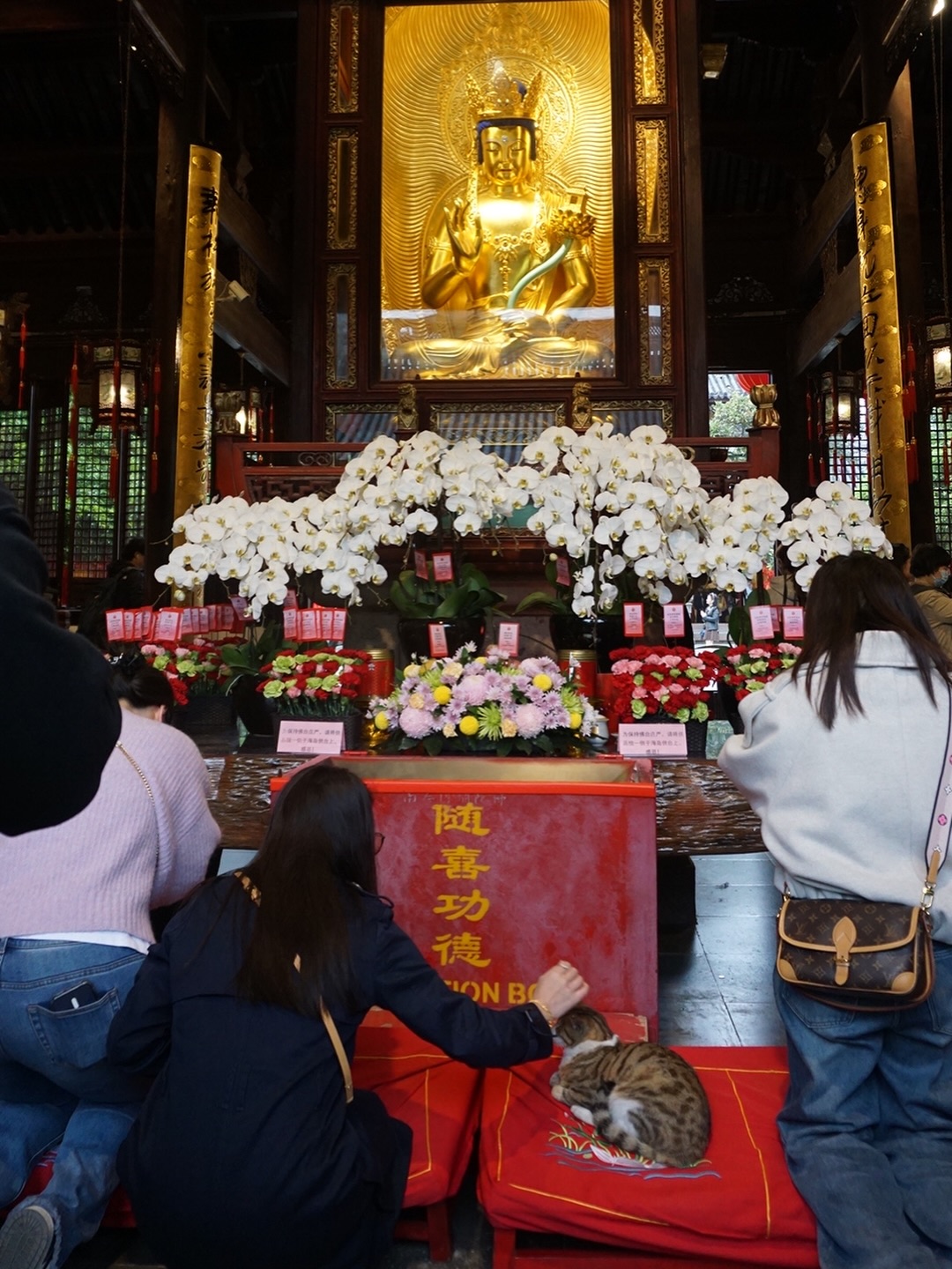 อาร์ม - กรกันต์ สุทธิโกเศศ