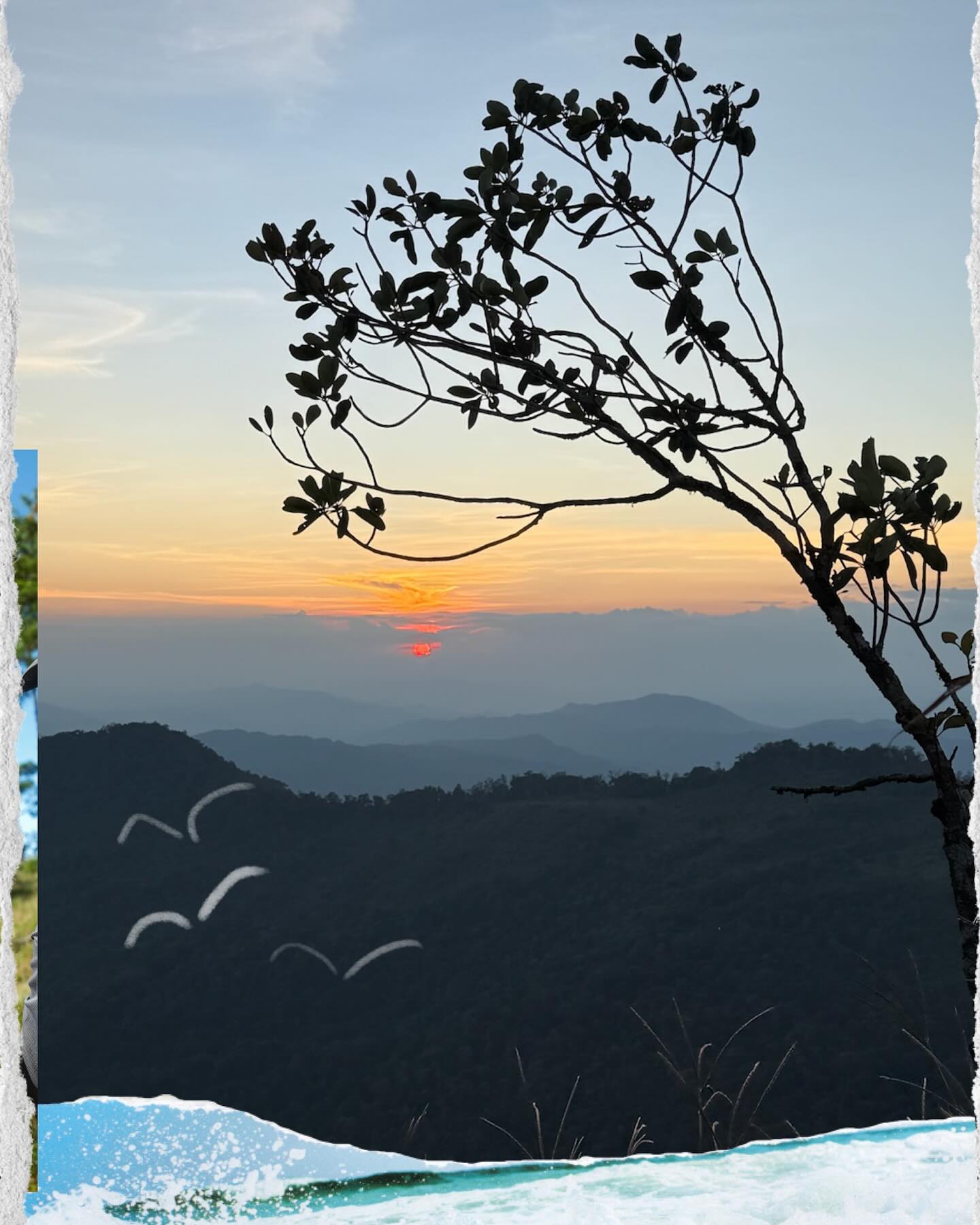 ฟรอยด์ - ณัฏฐพงษ์ ชาติพงศ์