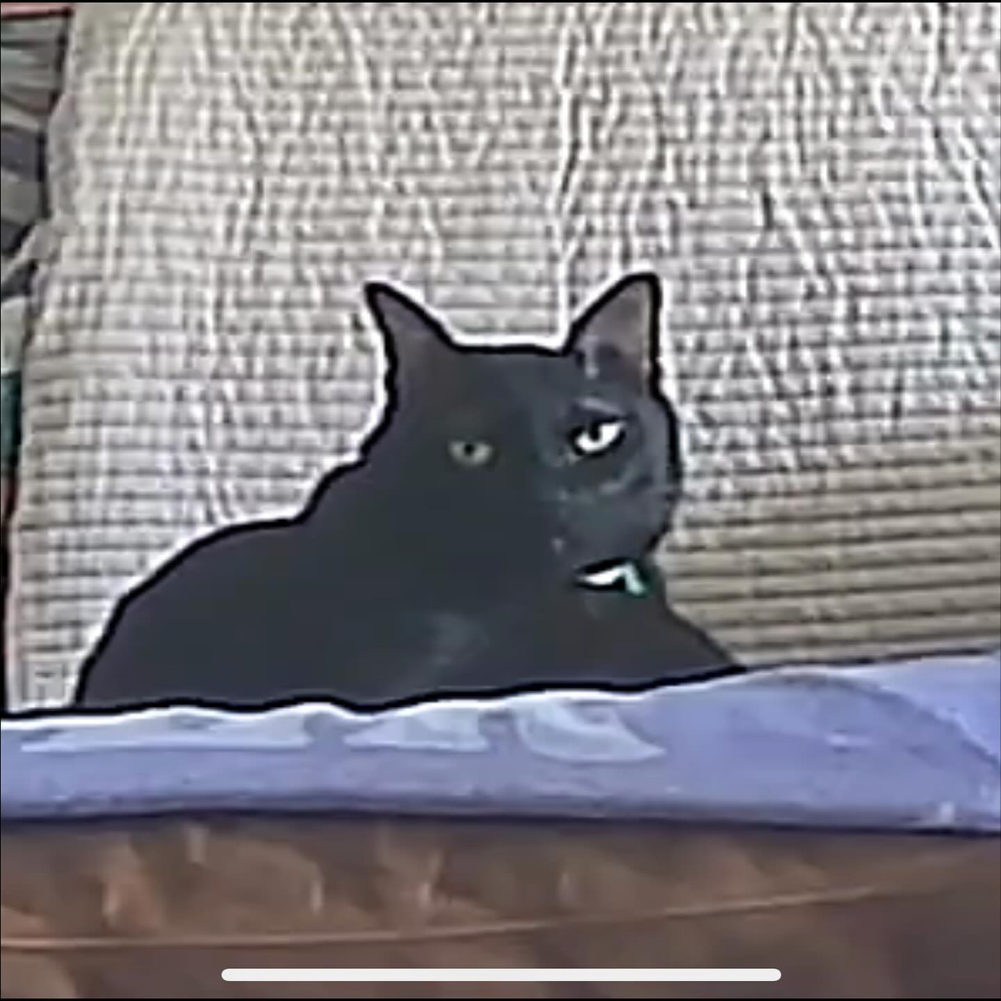 ฟรอยด์ - ณัฏฐพงษ์ ชาติพงศ์