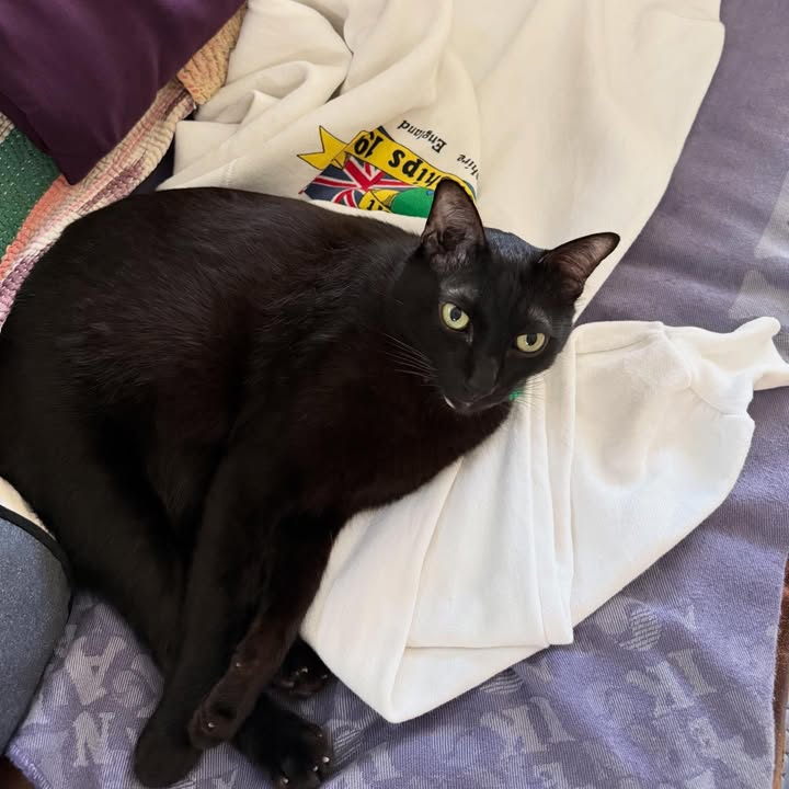 ฟรอยด์ - ณัฏฐพงษ์ ชาติพงศ์