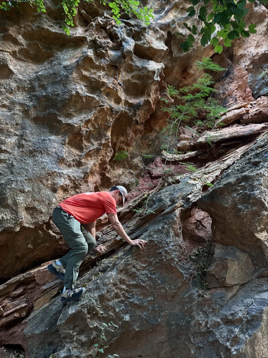 ฟรอยด์ - ณัฏฐพงษ์ ชาติพงศ์