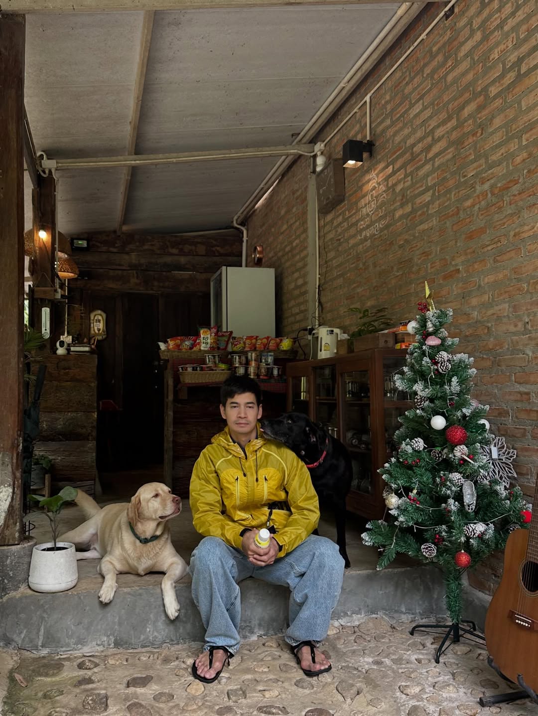 ฟรอยด์ - ณัฏฐพงษ์ ชาติพงศ์