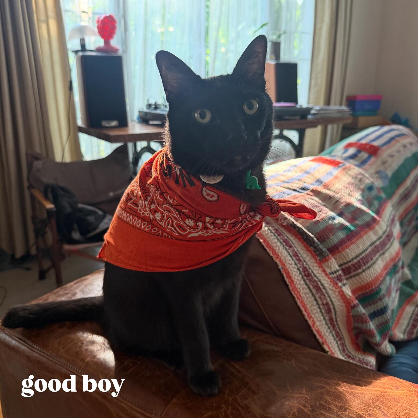 ฟรอยด์ - ณัฏฐพงษ์ ชาติพงศ์