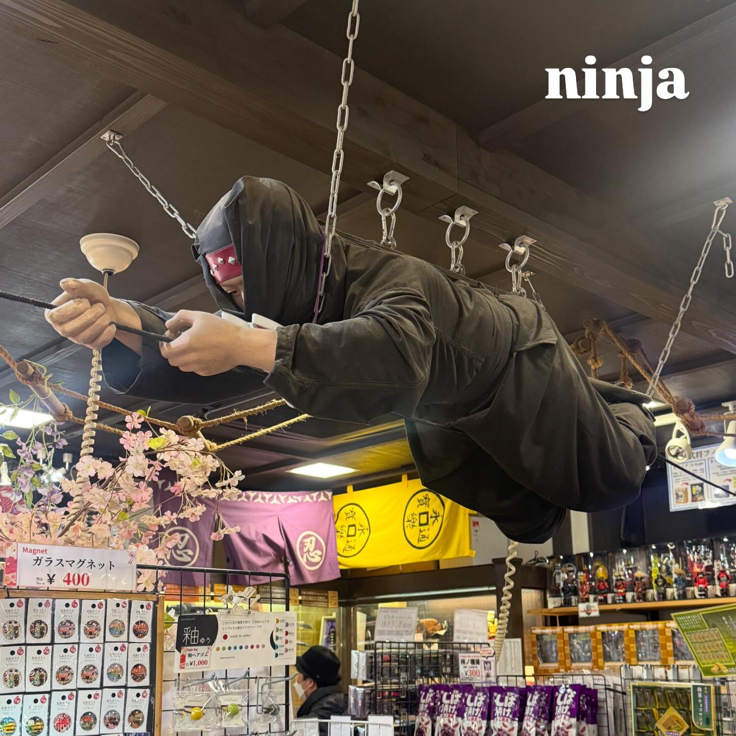 ฟรอยด์ - ณัฏฐพงษ์ ชาติพงศ์