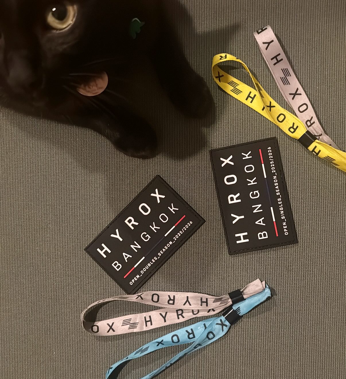 ฟรอยด์ - ณัฏฐพงษ์ ชาติพงศ์