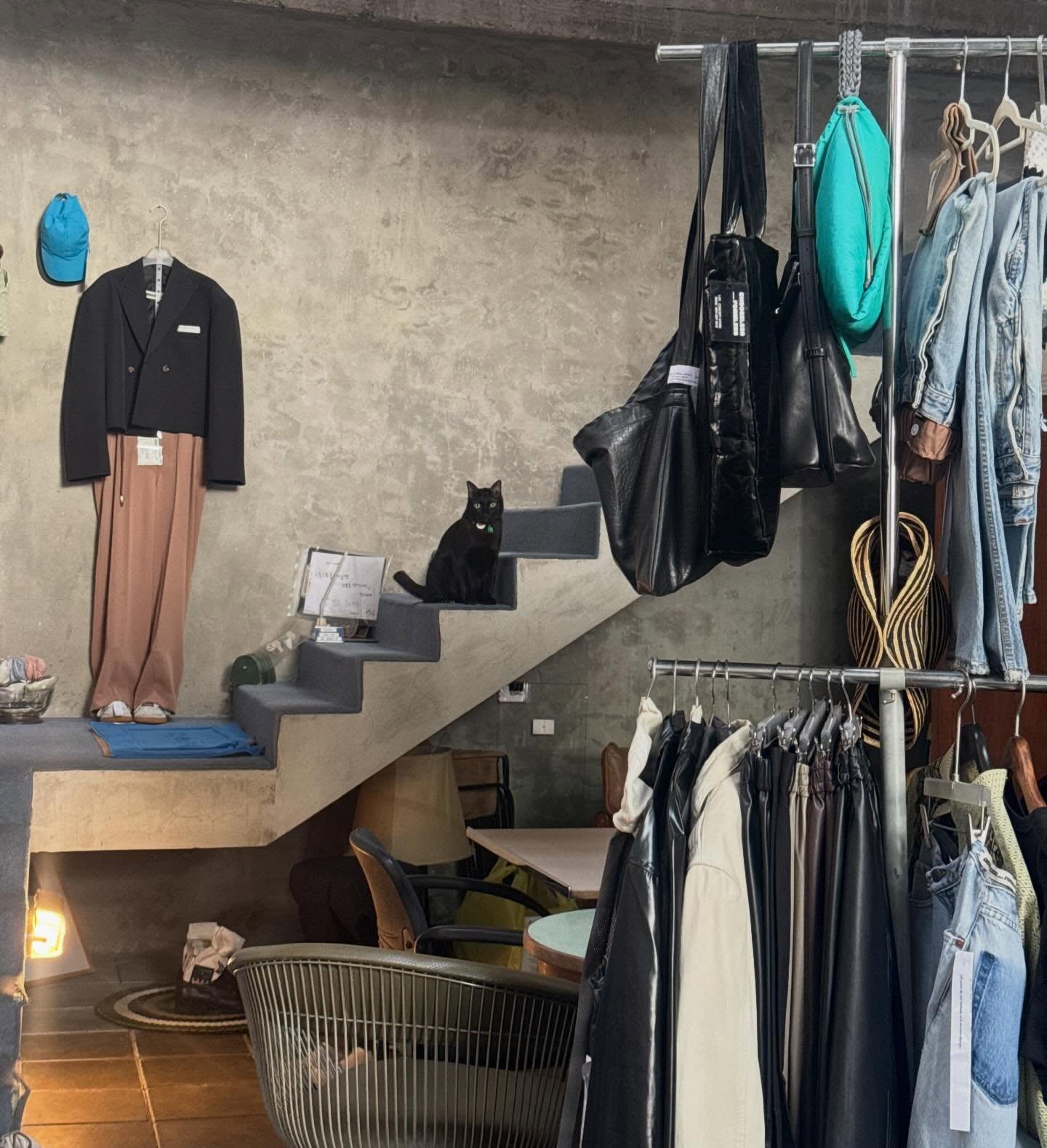 ฟรอยด์ - ณัฏฐพงษ์ ชาติพงศ์