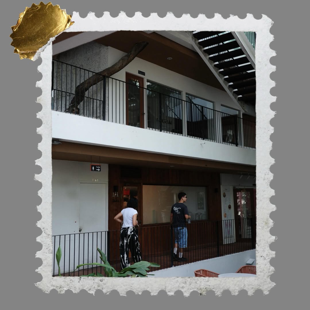 ฟรอยด์ - ณัฏฐพงษ์ ชาติพงศ์