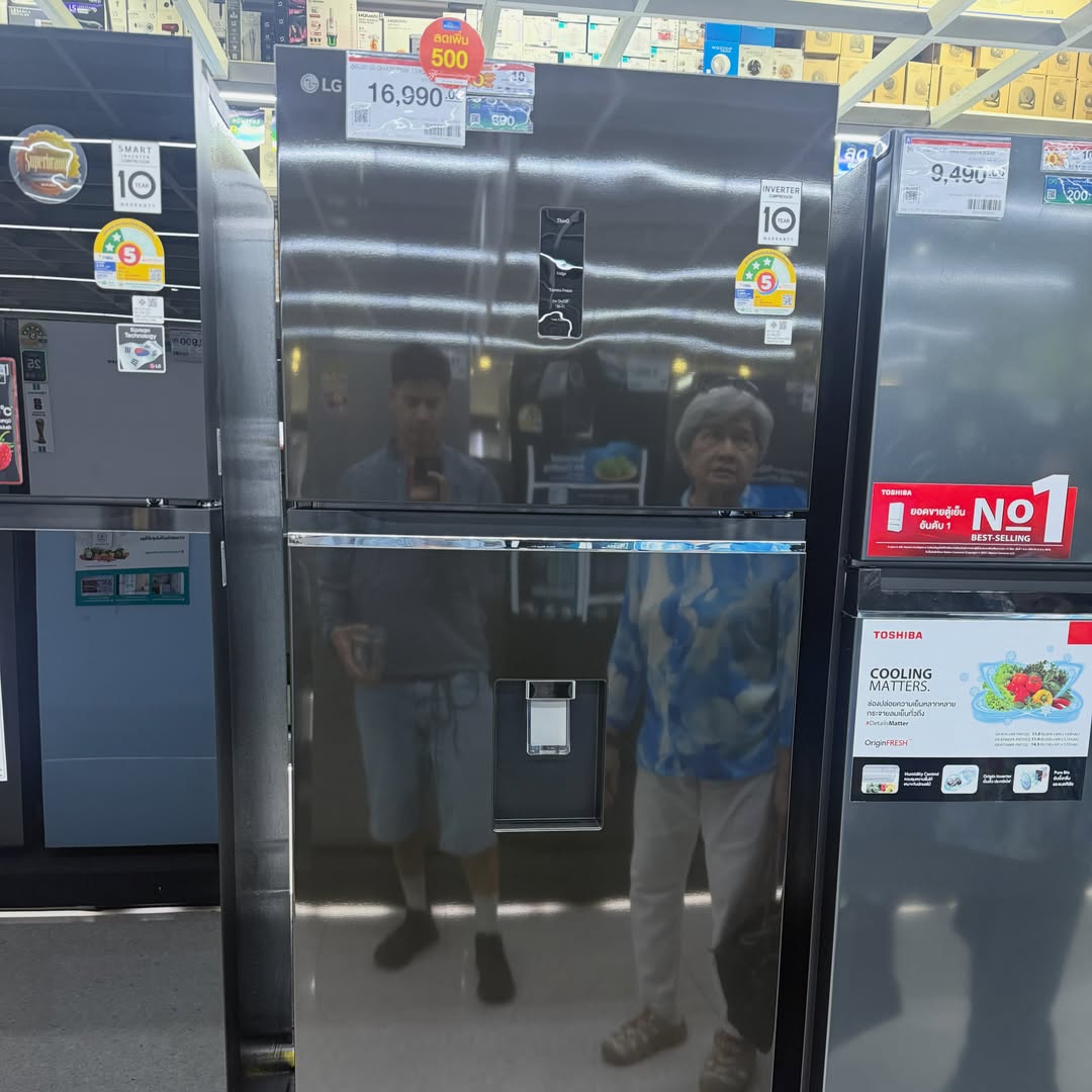 ฟรอยด์ - ณัฏฐพงษ์ ชาติพงศ์