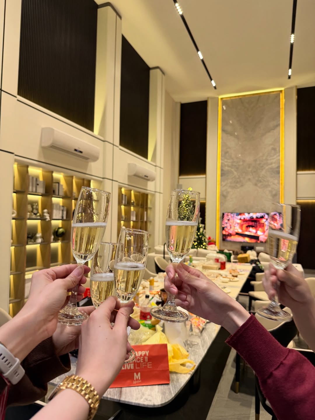 อิน - สาริน รณเกียรติ