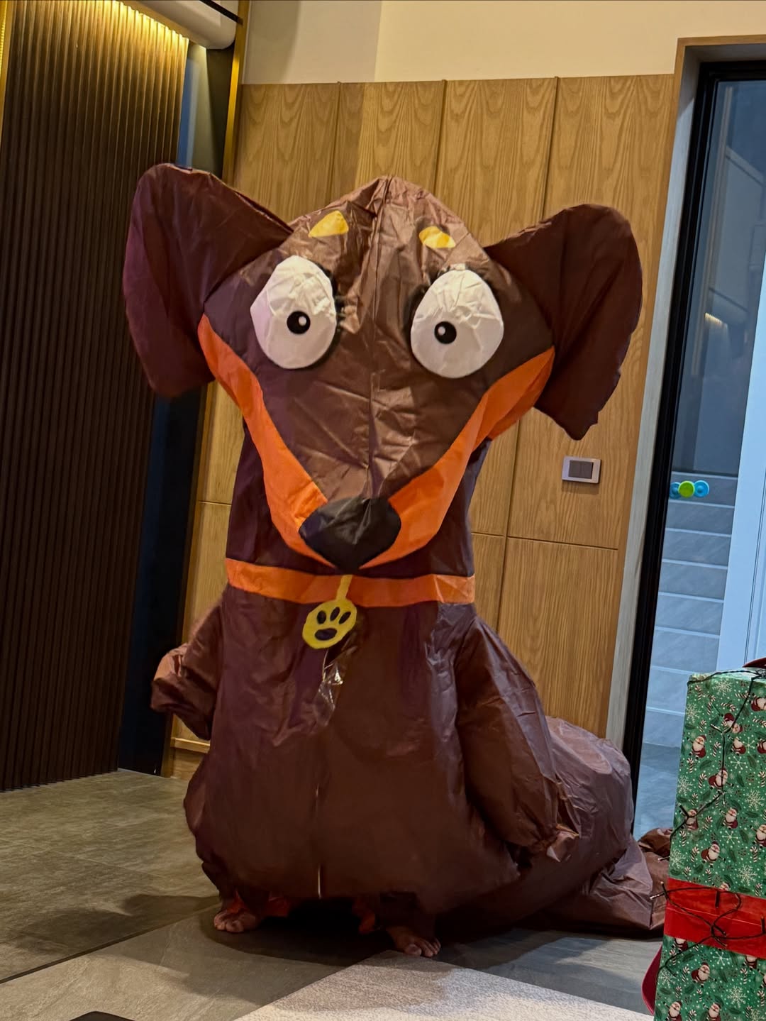 อิน - สาริน รณเกียรติ