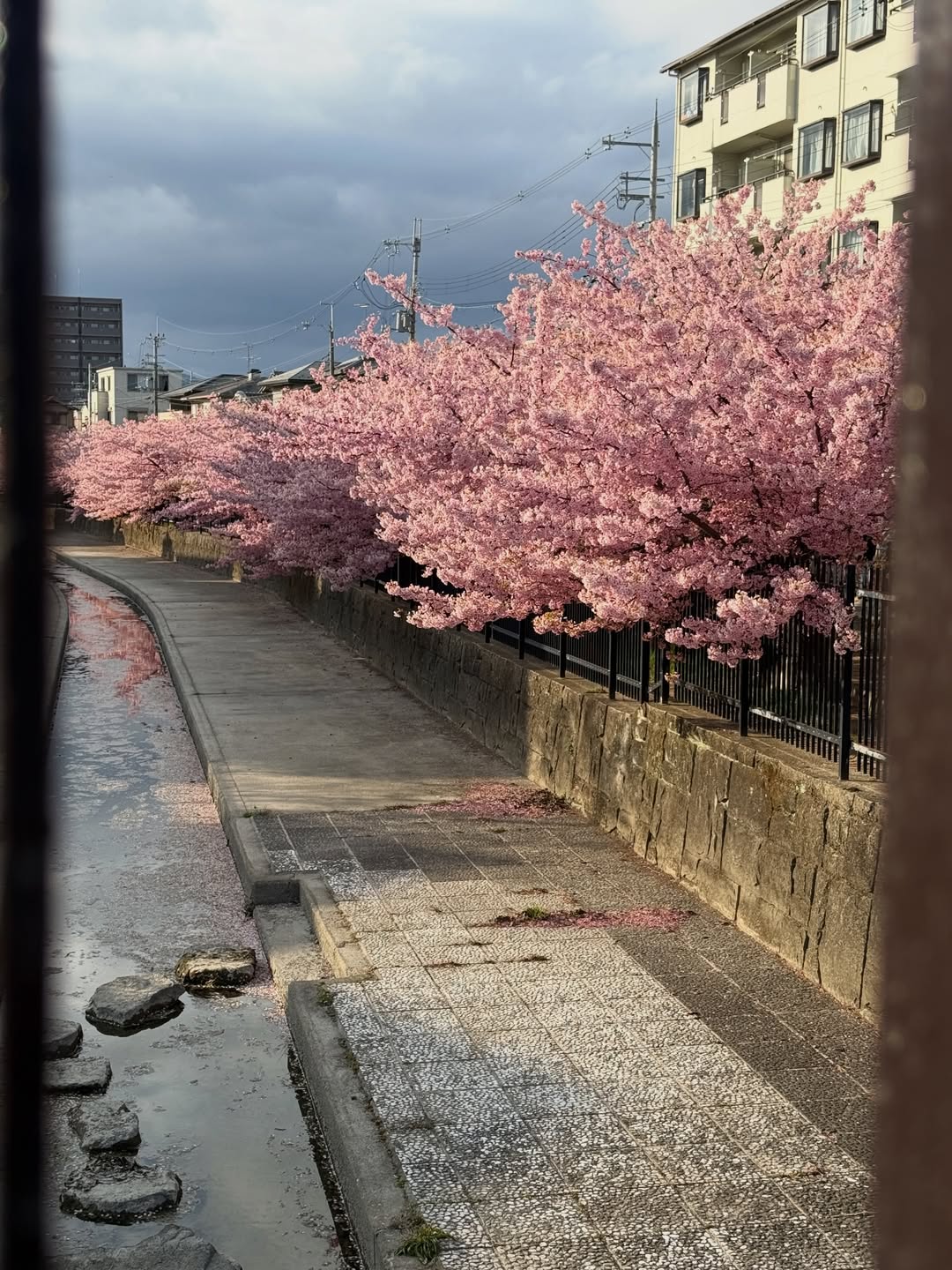 อิน - สาริน รณเกียรติ