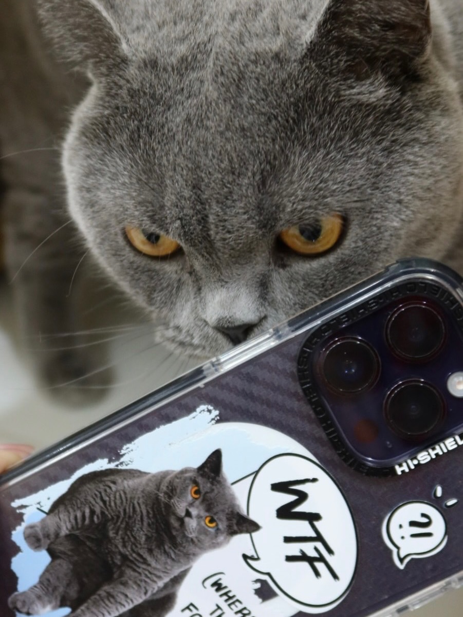 ปังปอนด์ - อัครวุฒิ มังคลสุต