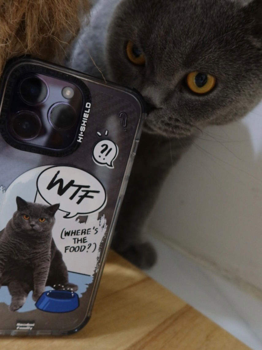 ปังปอนด์ - อัครวุฒิ มังคลสุต