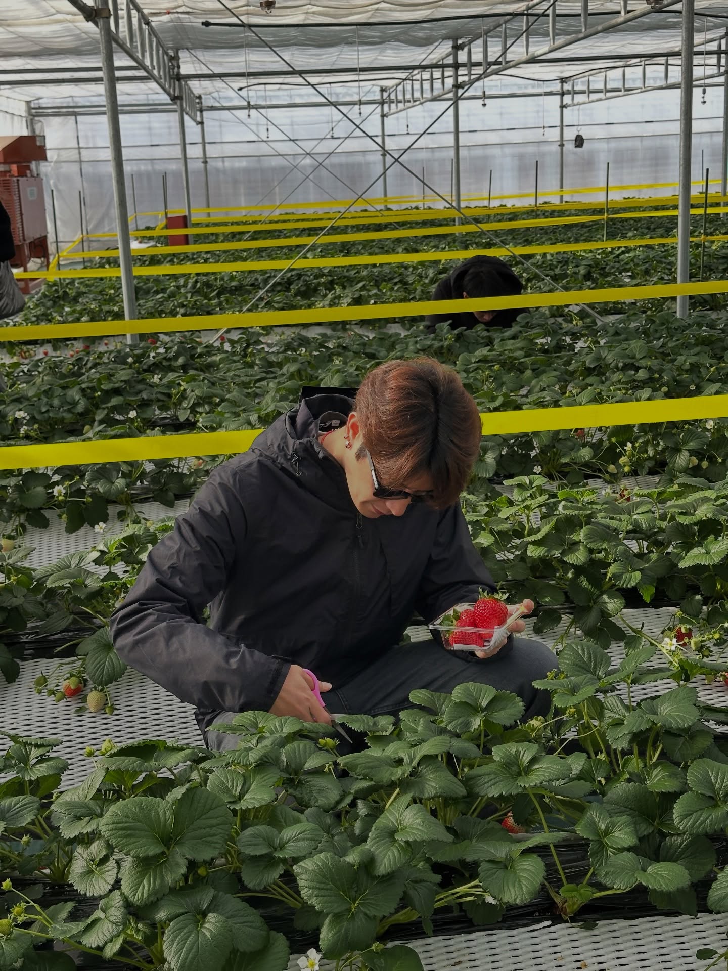 ปังปอนด์ - อัครวุฒิ มังคลสุต