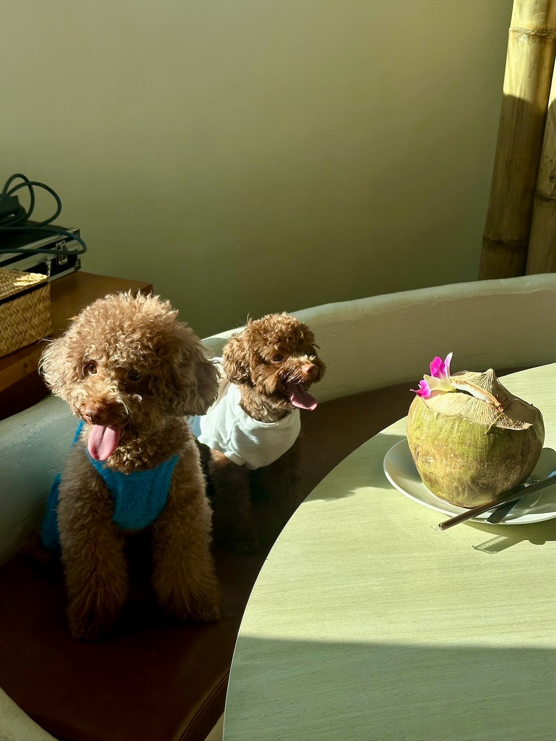 ปังปอนด์ - อัครวุฒิ มังคลสุต