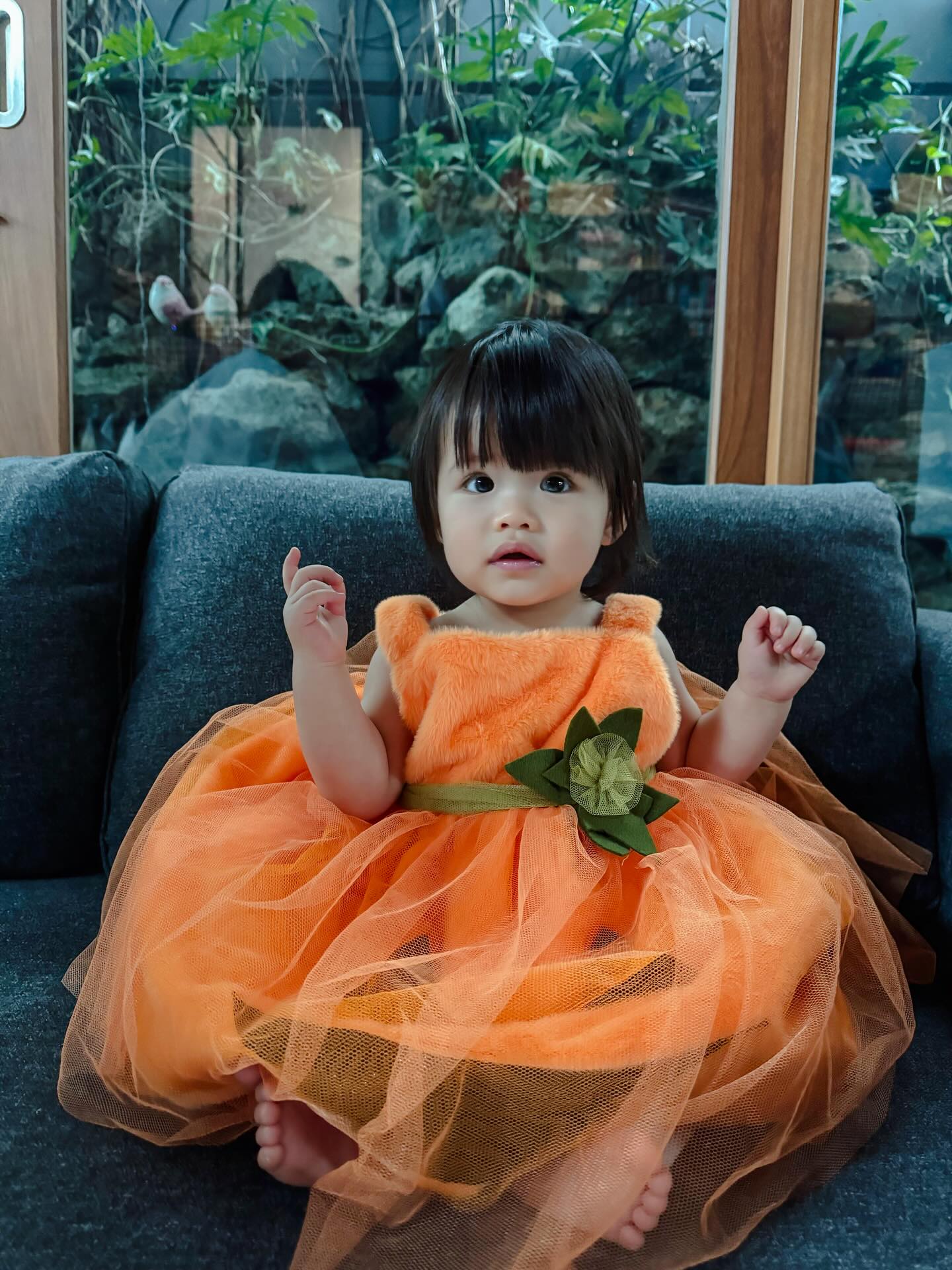 รถเมล์ - คะนึงนิจ จักรสมิทธานนท์