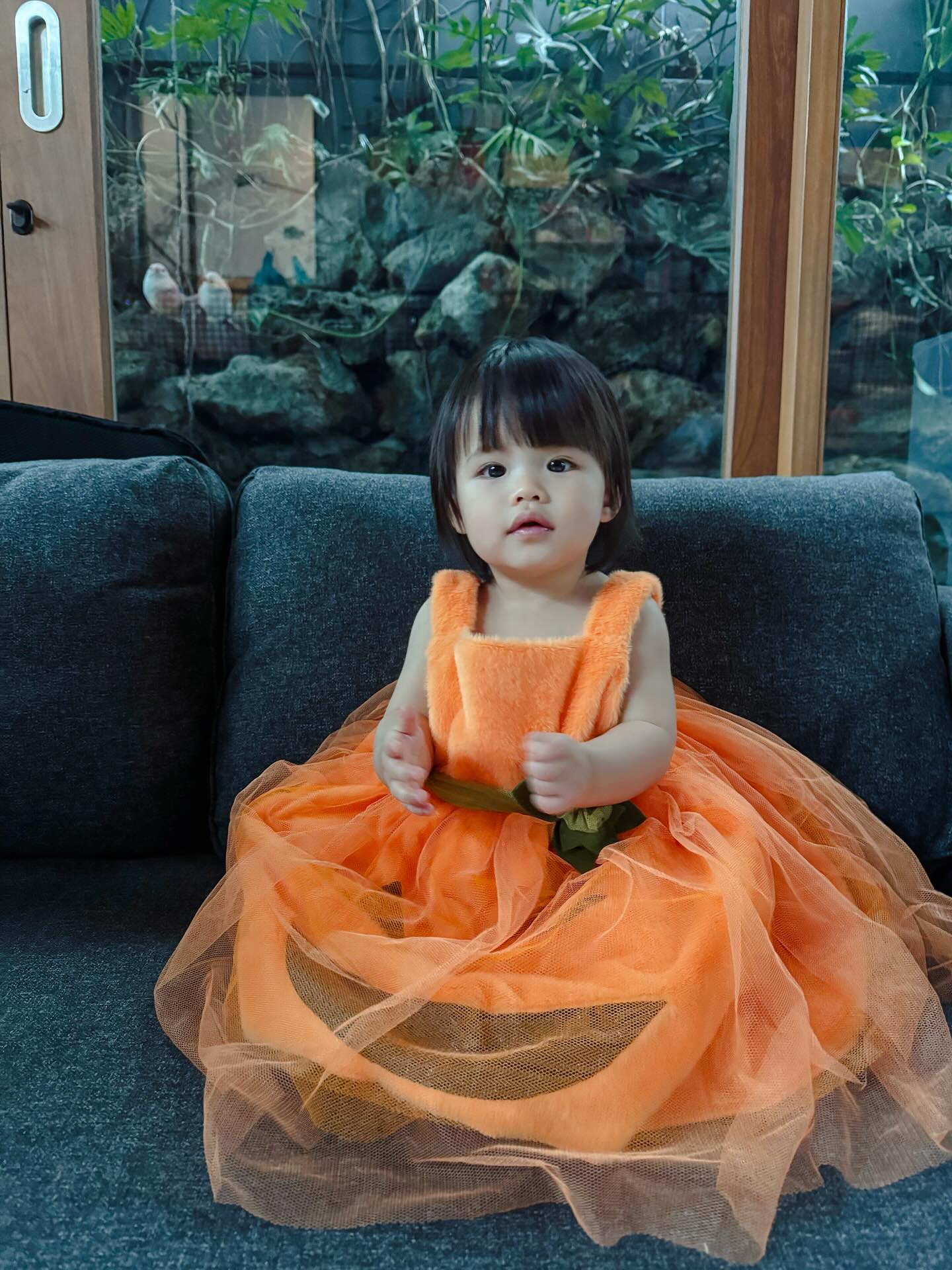 รถเมล์ - คะนึงนิจ จักรสมิทธานนท์