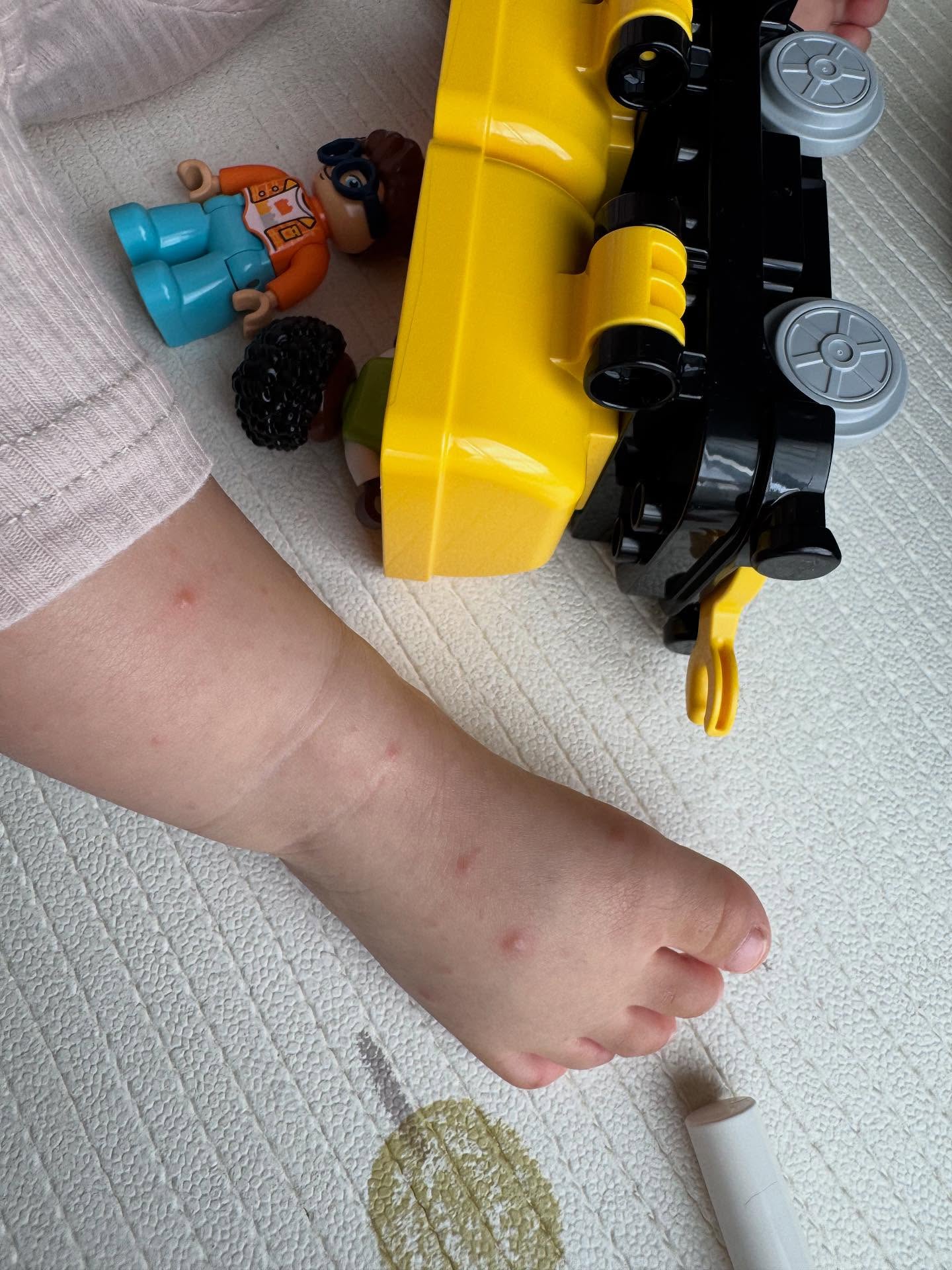 รถเมล์ - คะนึงนิจ จักรสมิทธานนท์