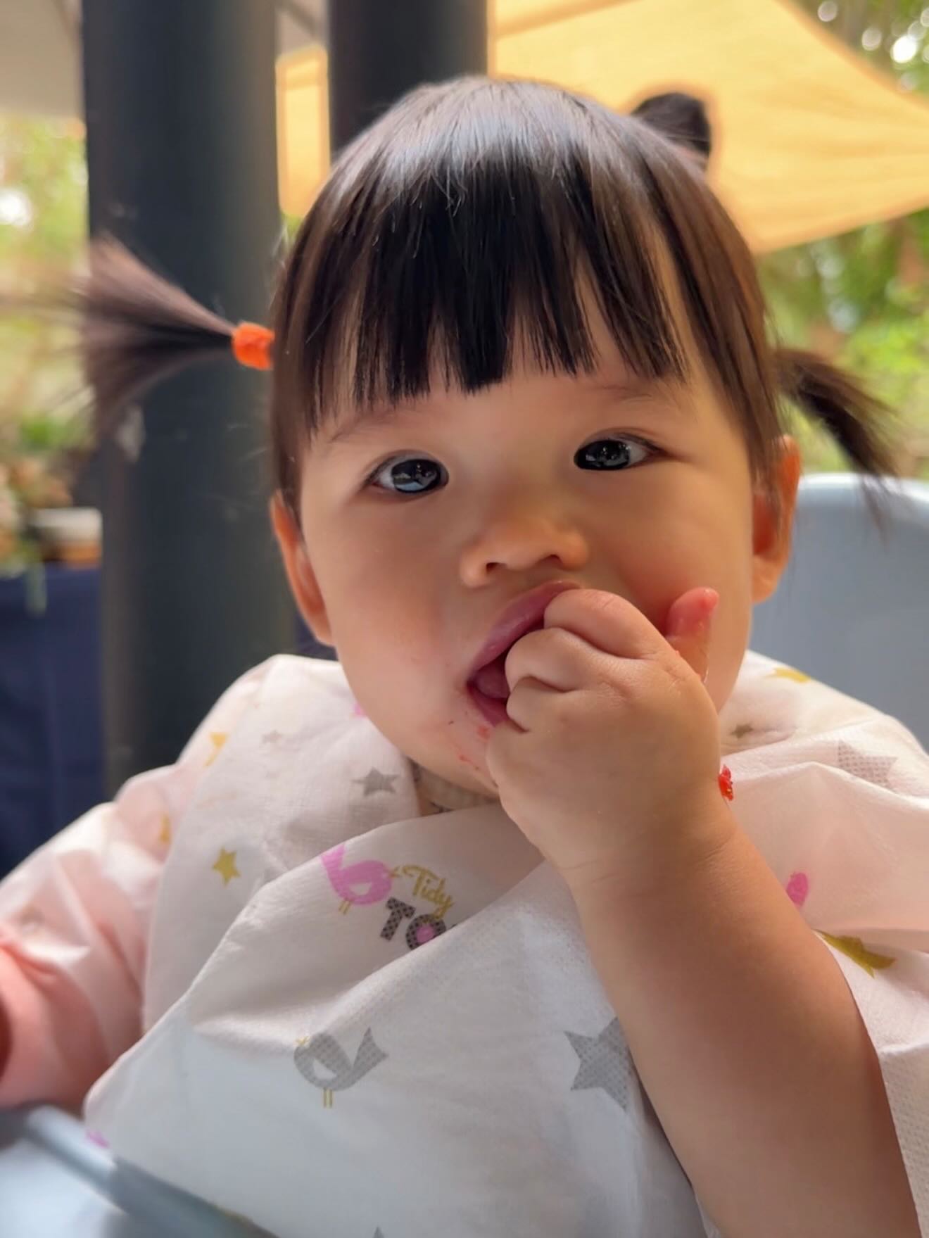 รถเมล์ - คะนึงนิจ จักรสมิทธานนท์