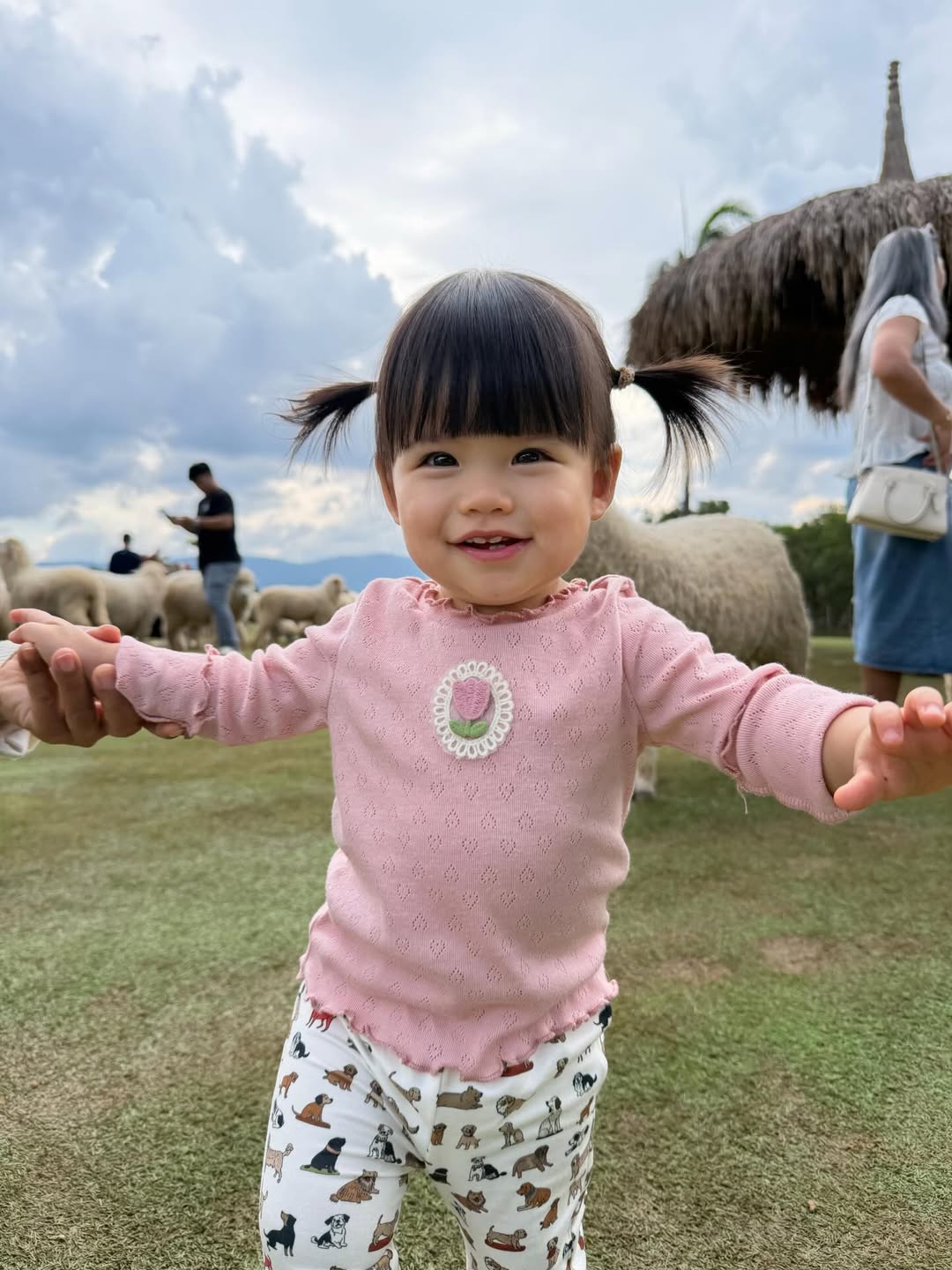 รถเมล์ - คะนึงนิจ จักรสมิทธานนท์