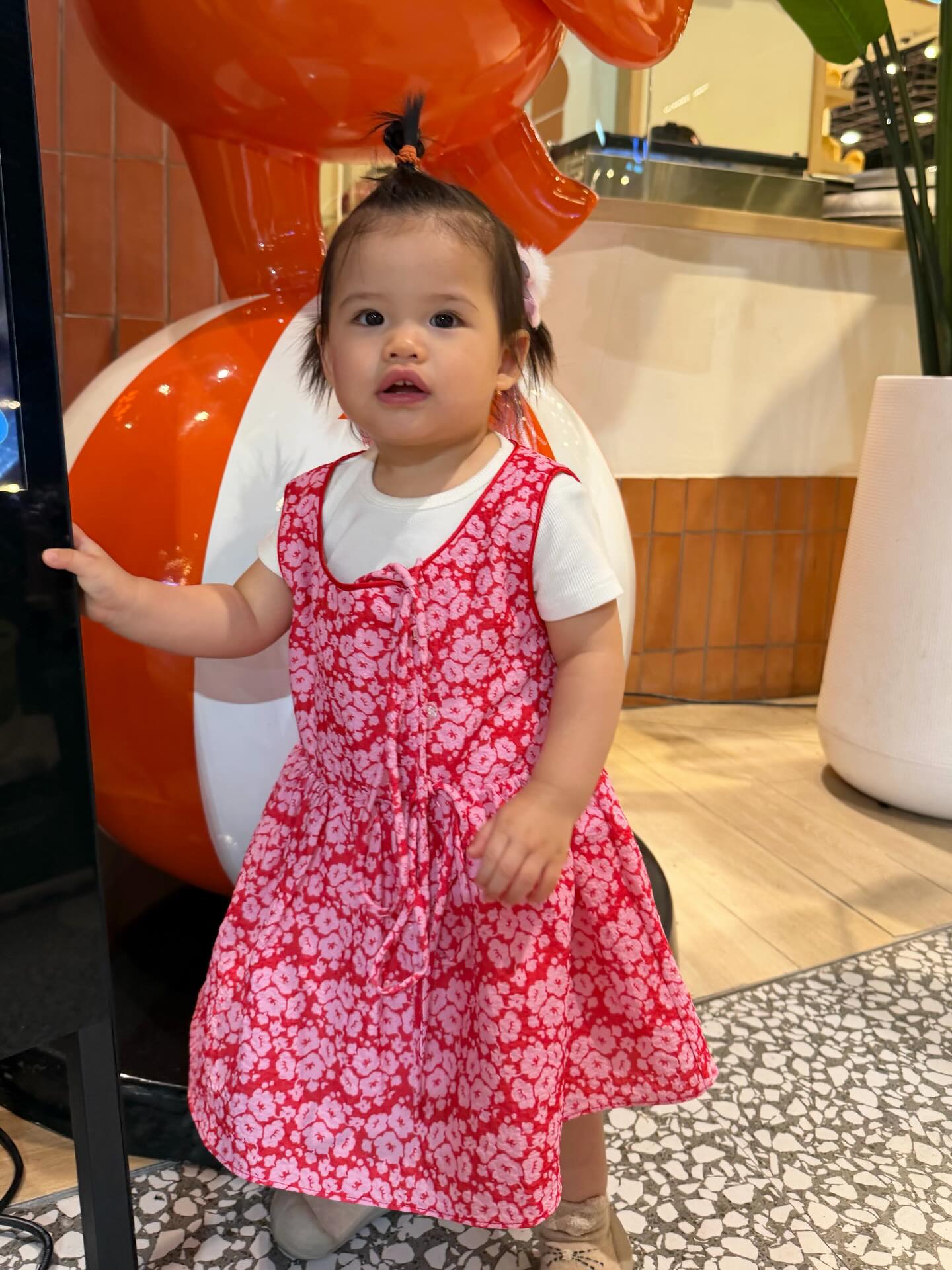 รถเมล์ - คะนึงนิจ จักรสมิทธานนท์