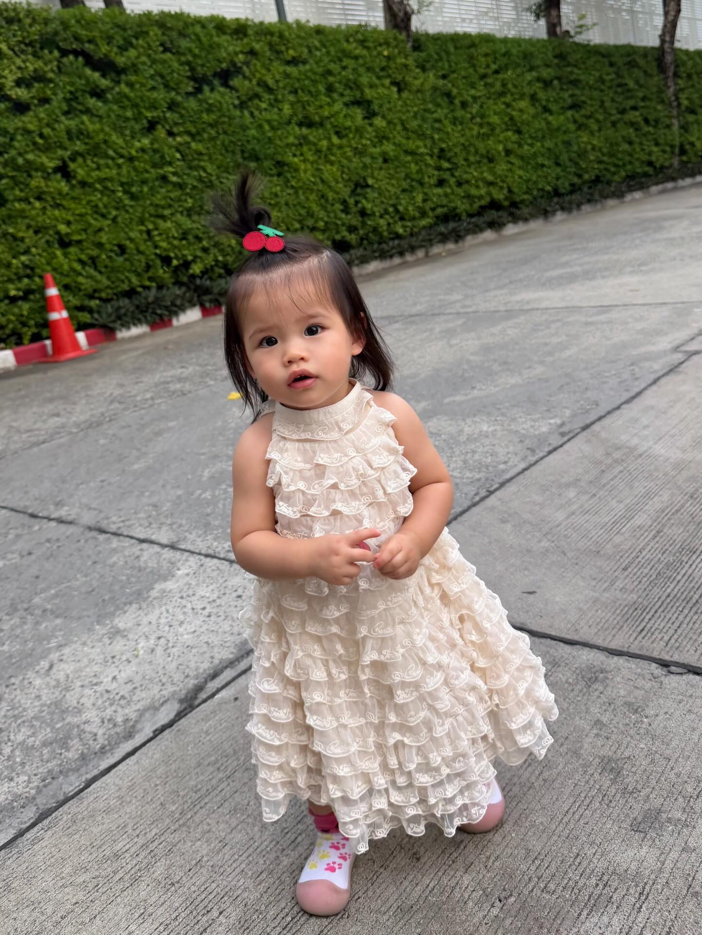 รถเมล์ - คะนึงนิจ จักรสมิทธานนท์