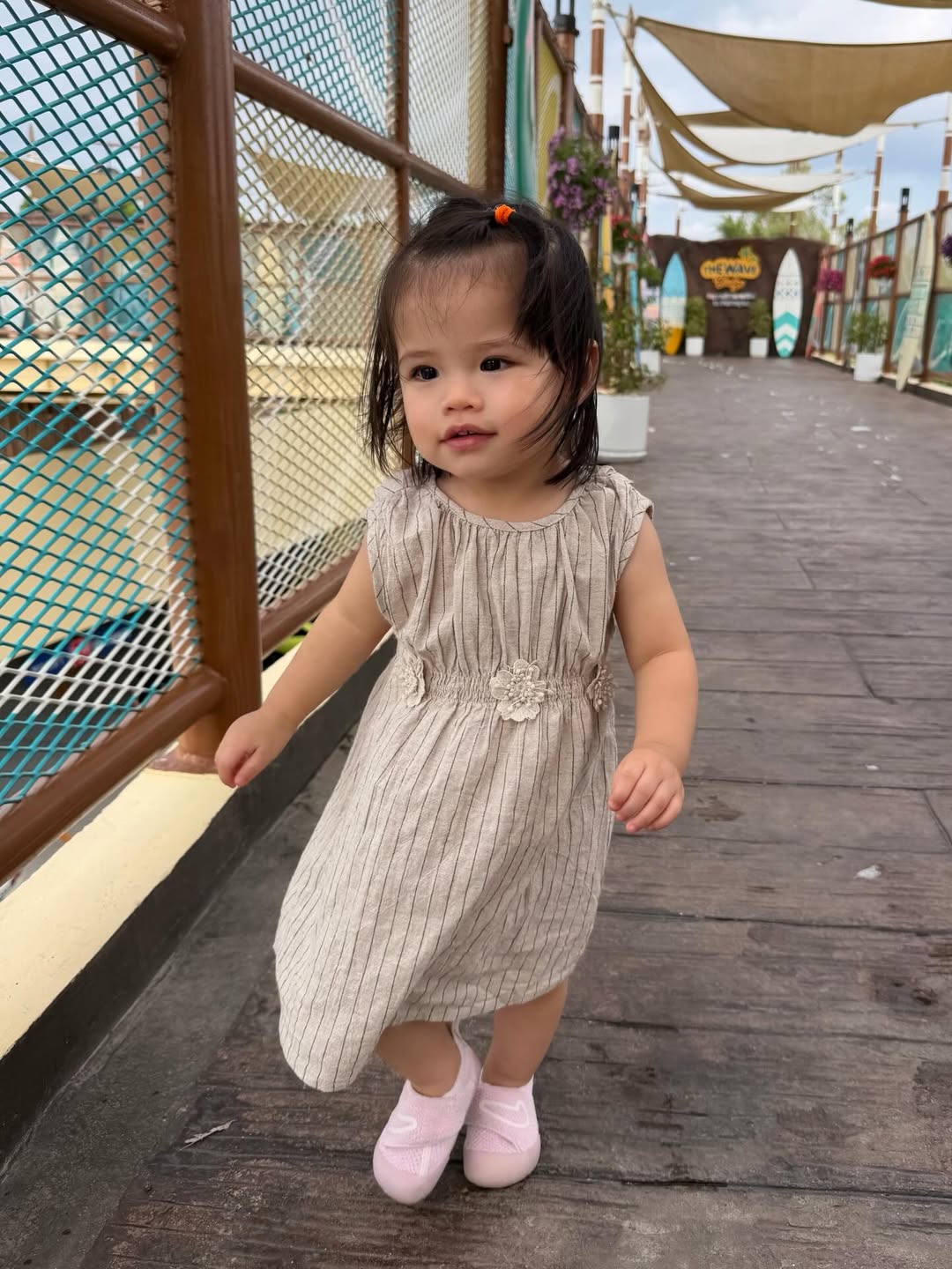 รถเมล์ - คะนึงนิจ จักรสมิทธานนท์