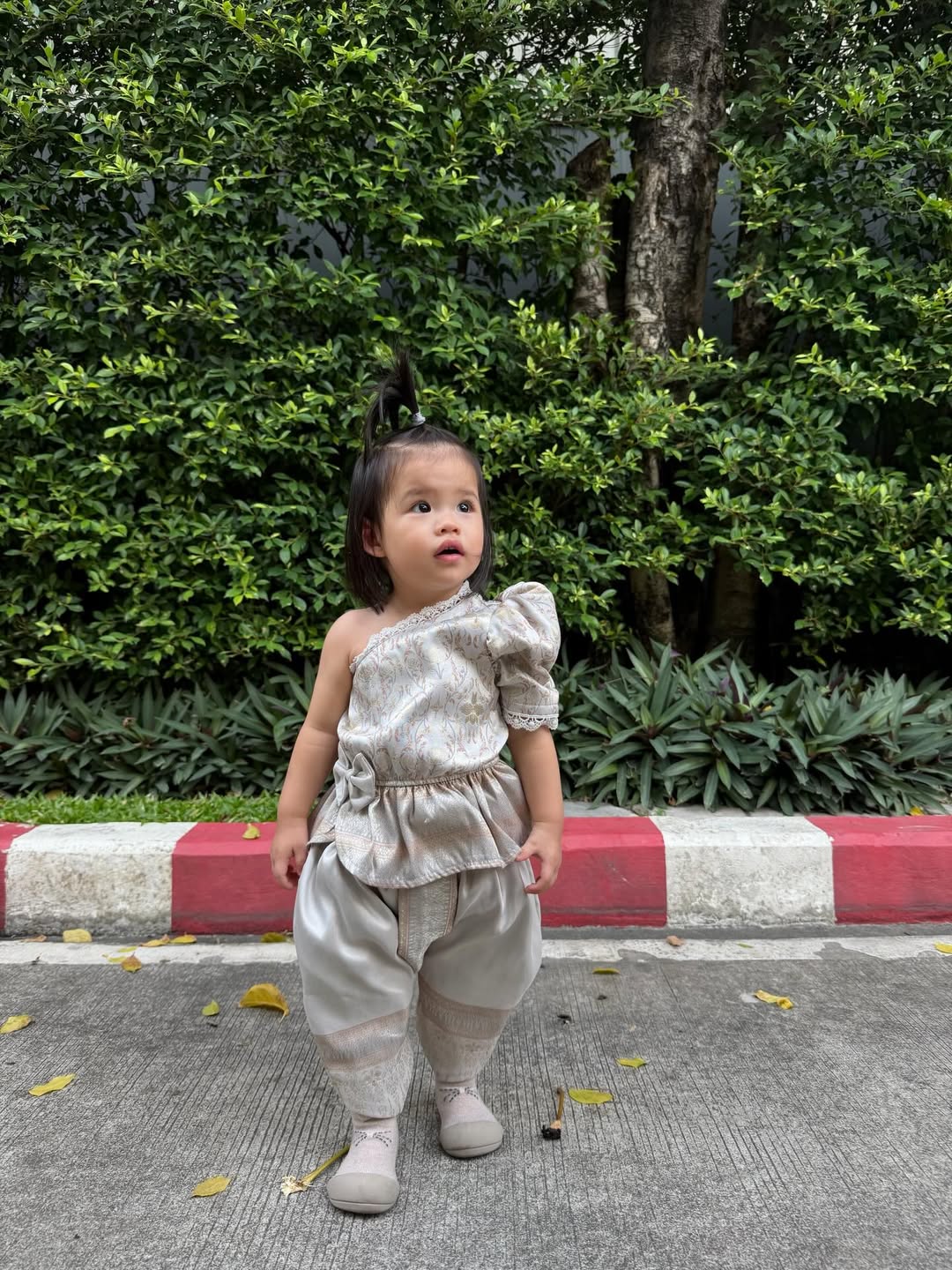 รถเมล์ - คะนึงนิจ จักรสมิทธานนท์