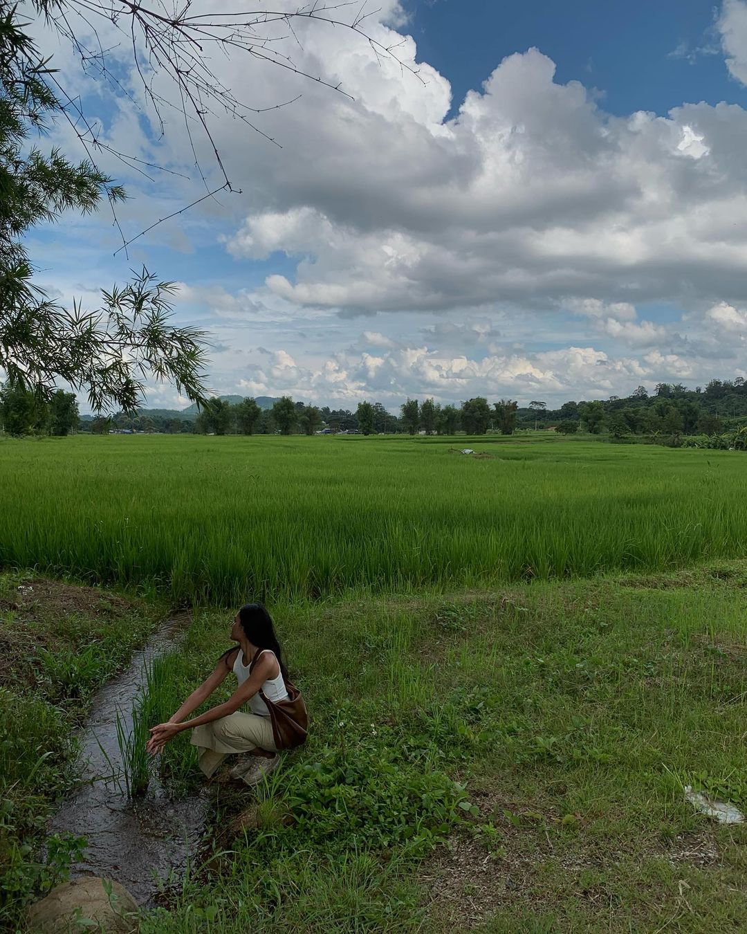 แคนดี้ - กุลชญา ตันศิริ