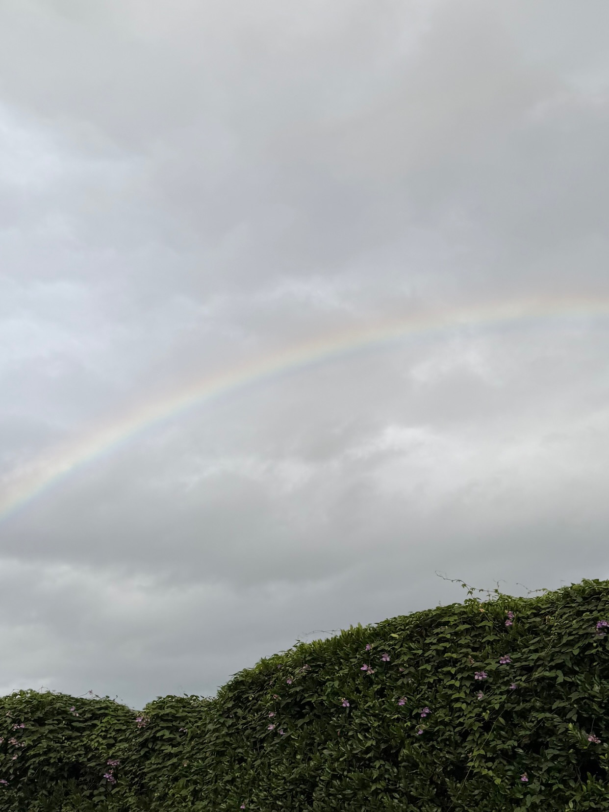 แคนดี้ - กุลชญา ตันศิริ