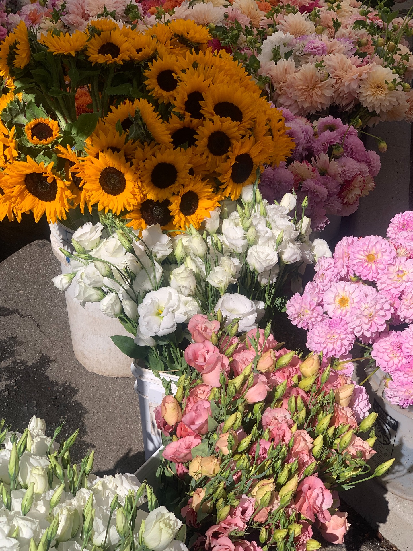 แคนดี้ - กุลชญา ตันศิริ