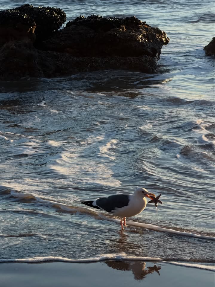 แคนดี้ - กุลชญา ตันศิริ