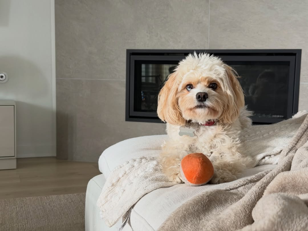 แคนดี้ - กุลชญา ตันศิริ