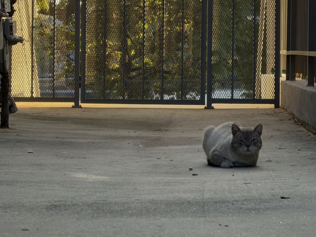 แคนดี้ - กุลชญา ตันศิริ