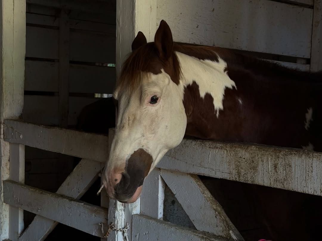 แคนดี้ - กุลชญา ตันศิริ