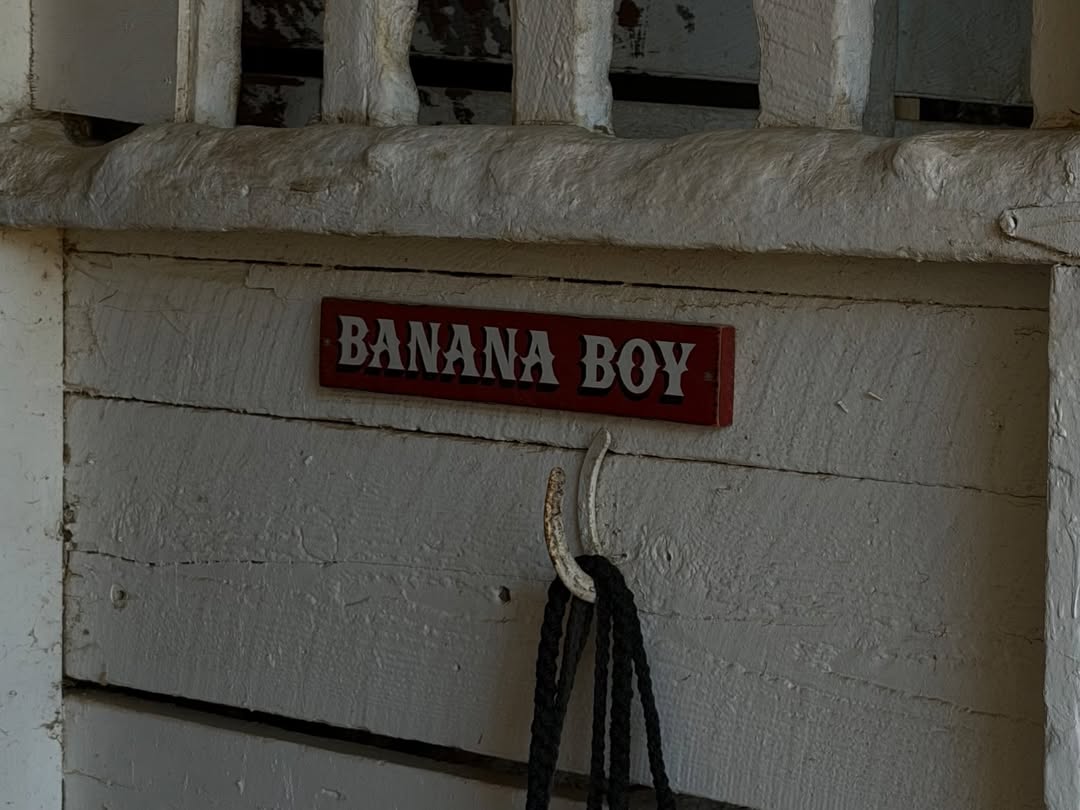 แคนดี้ - กุลชญา ตันศิริ