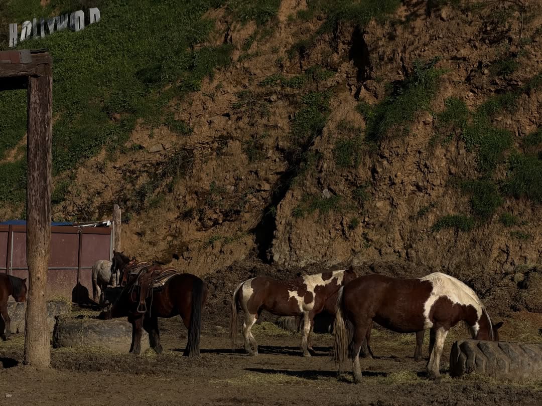 แคนดี้ - กุลชญา ตันศิริ