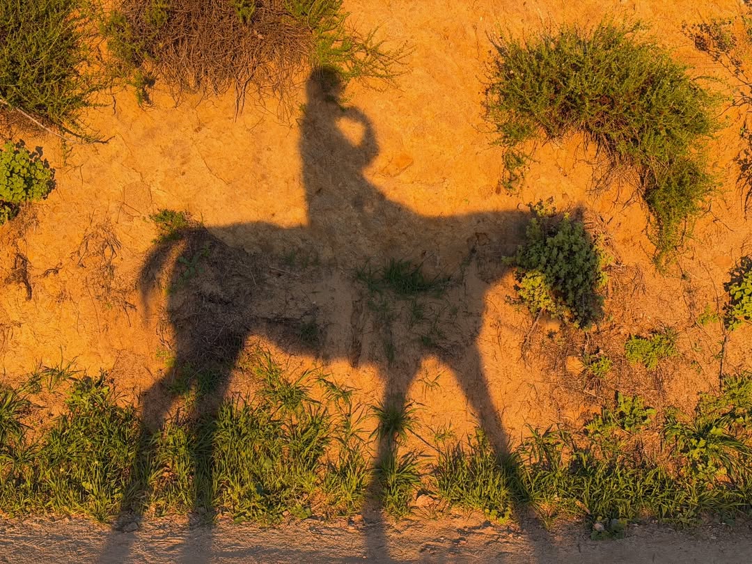 แคนดี้ - กุลชญา ตันศิริ