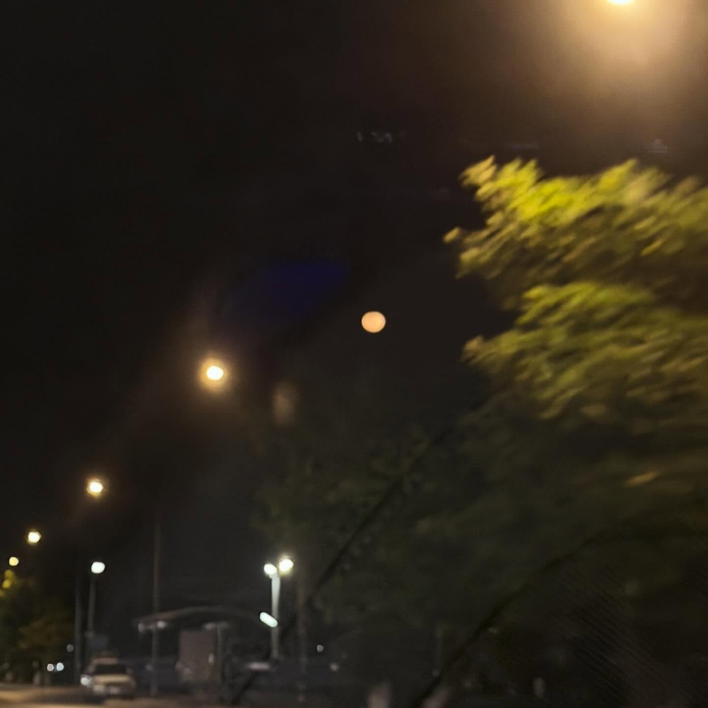 ซันนี่ - เกวลิน บุญศรัทธา